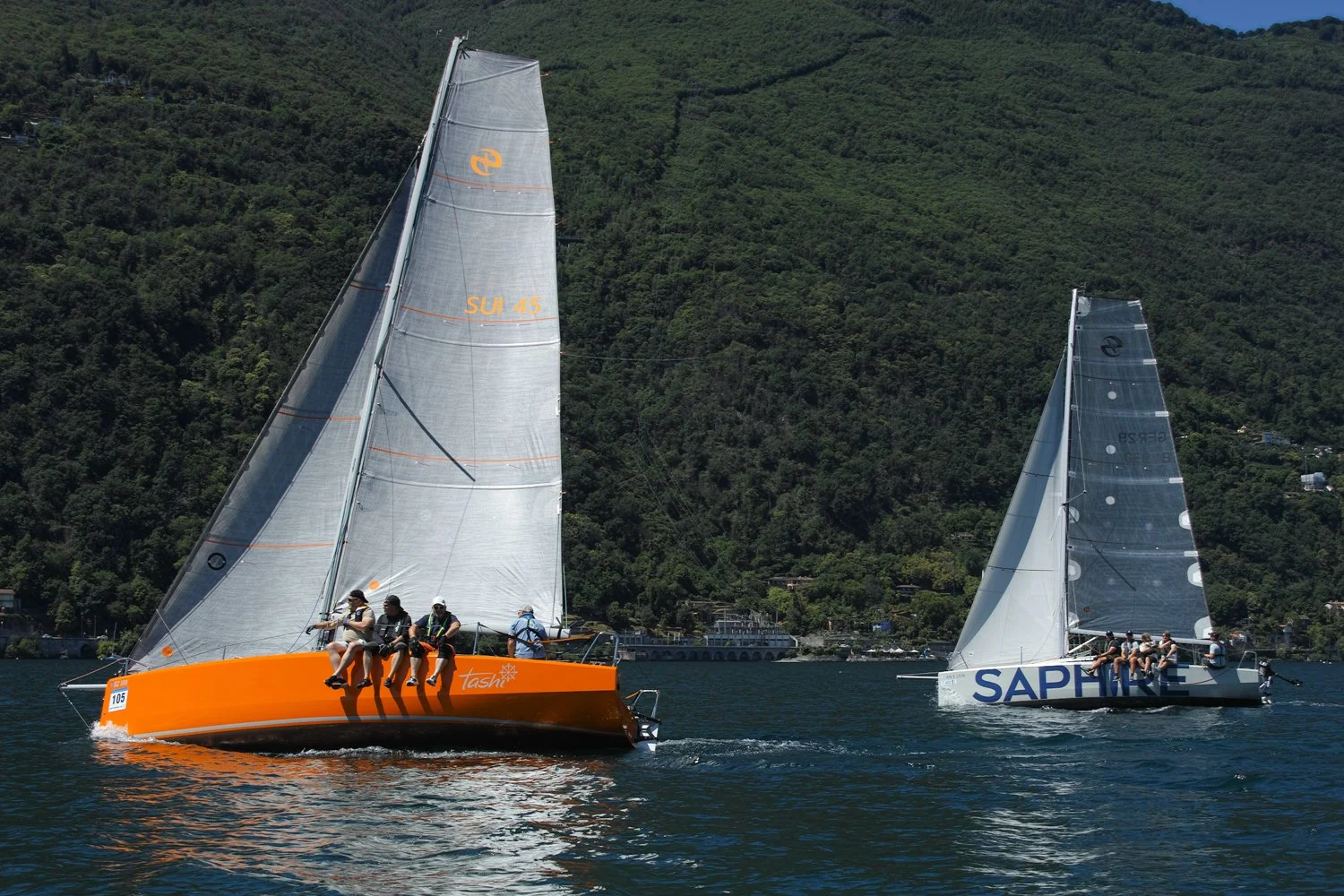 _SDI7648.jpg