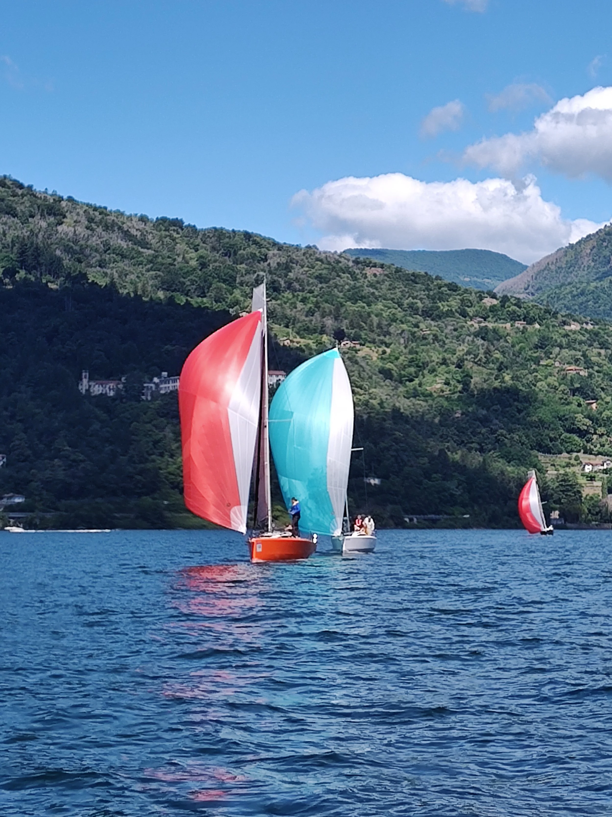 Tashi und Viento