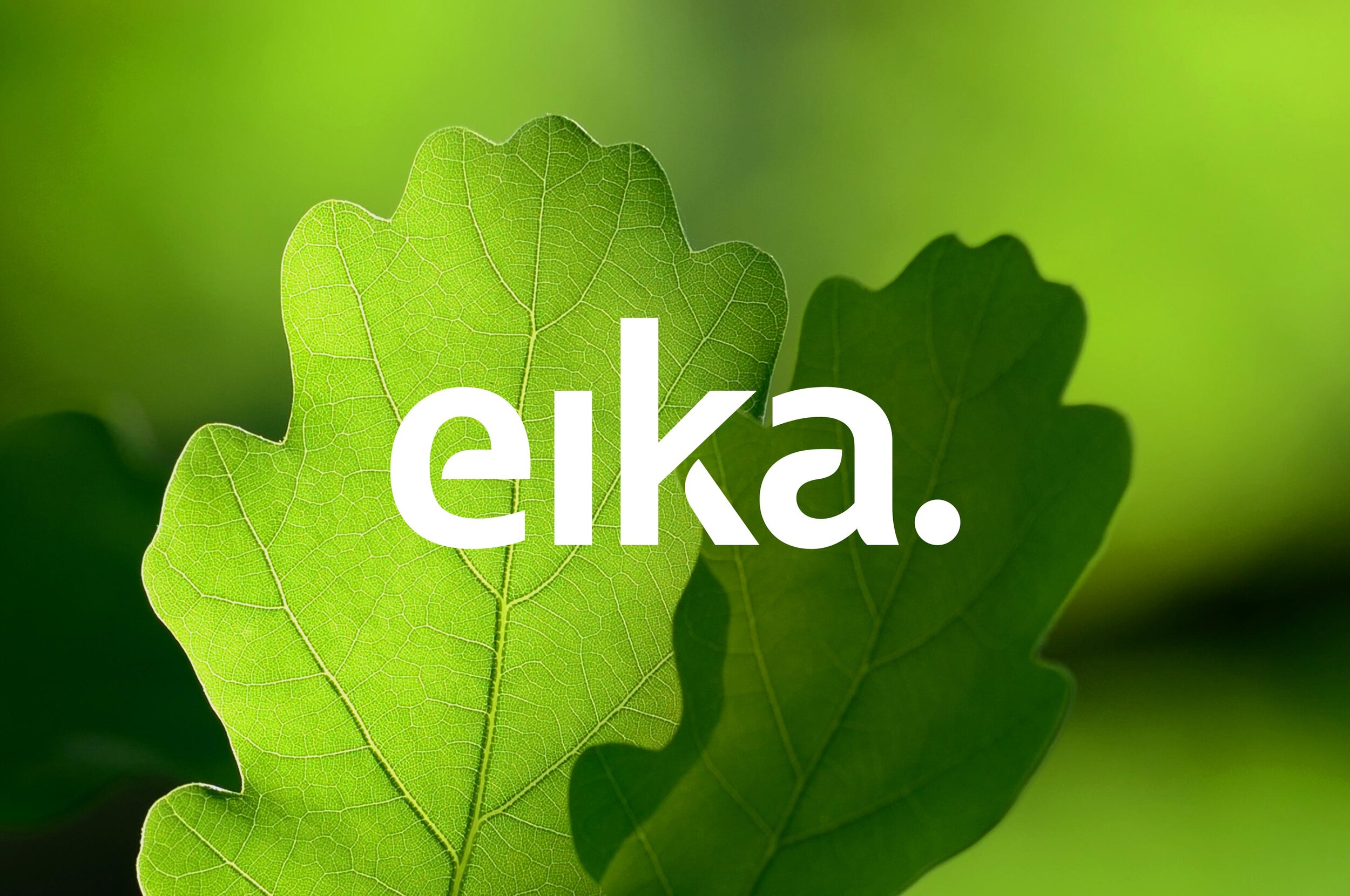 Eika – Brand Identity