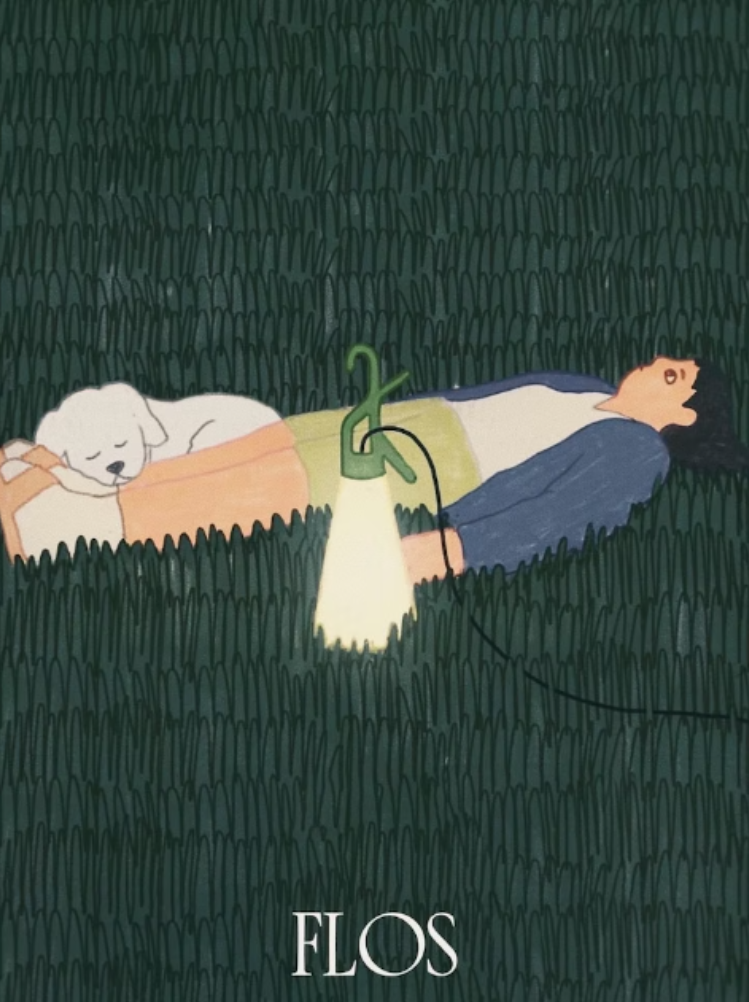 Skjermbilde 2022-12-06 kl. 10.03.58.png