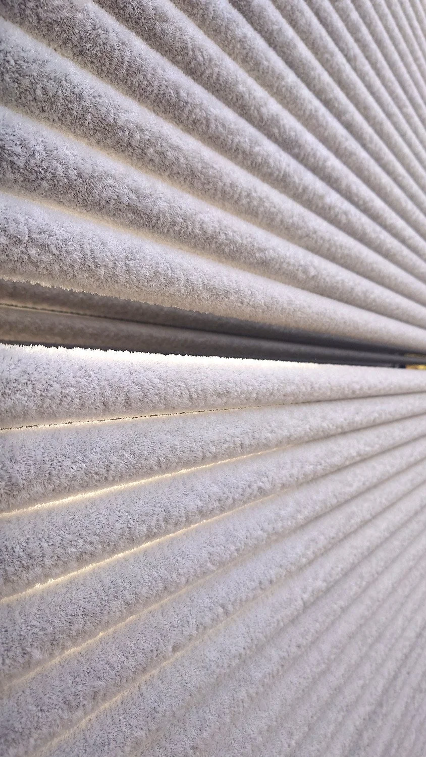 20251106_095235.jpg