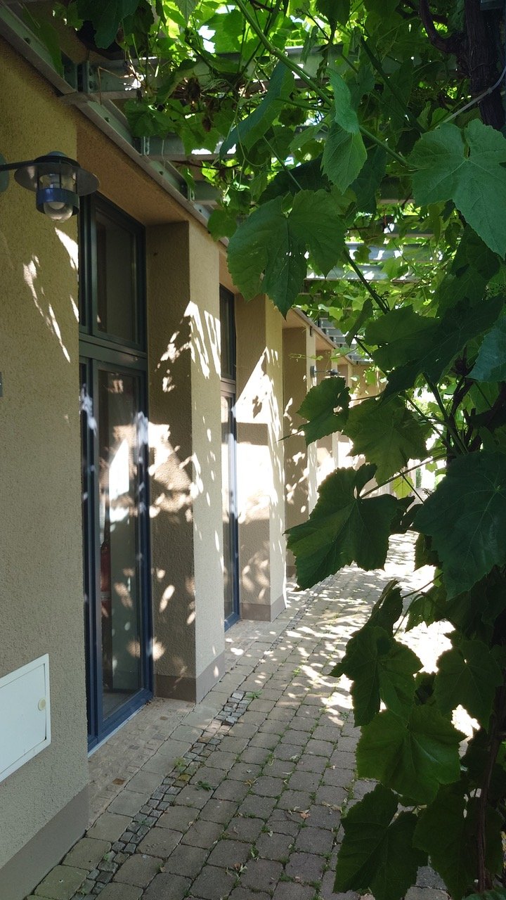20260624_161000.jpeg