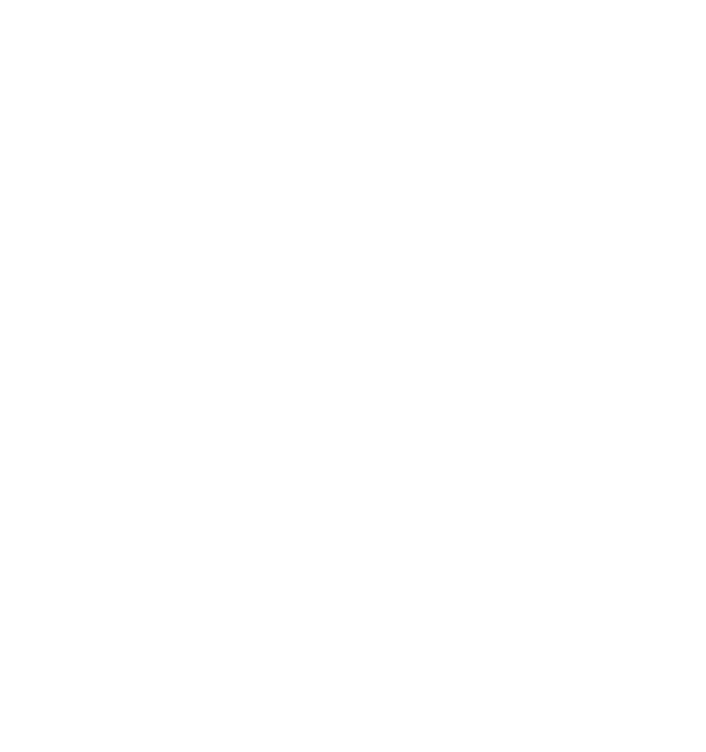 Skyfleet