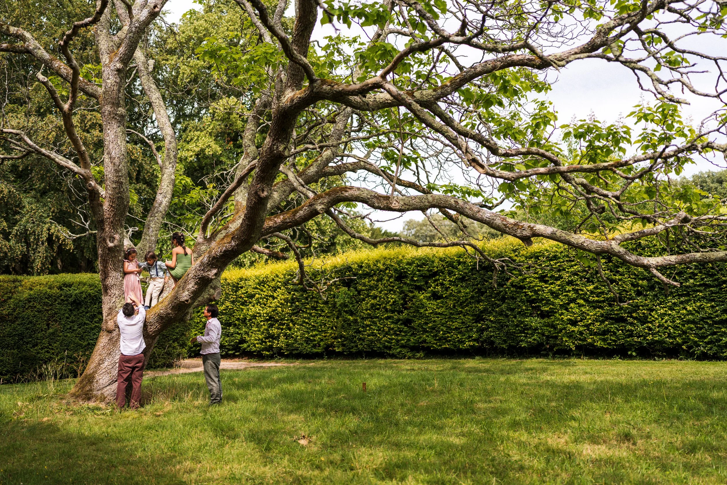 Family climbing a large spreading tree in a lush garden or park
