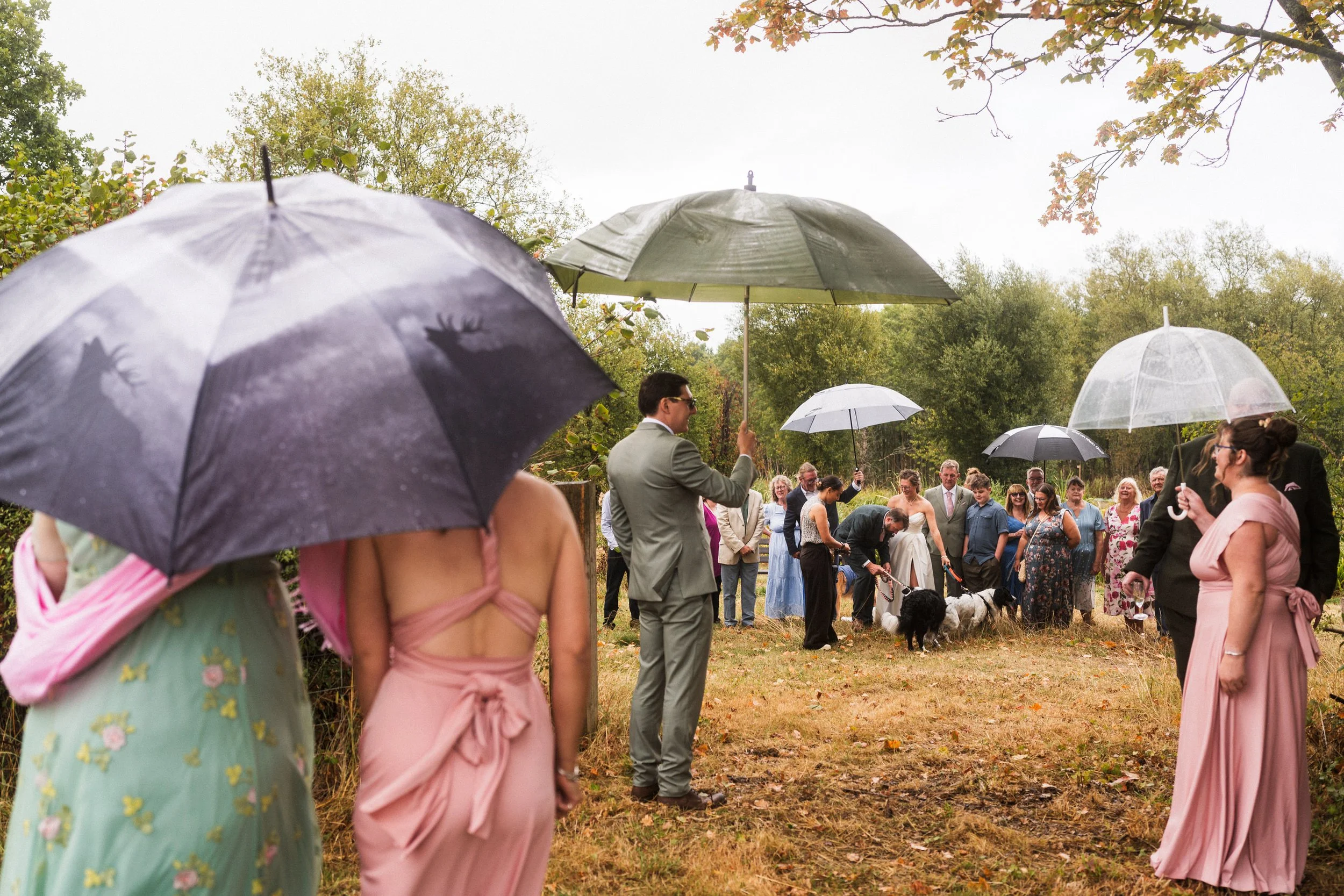Outdoor wedding ceremony in a wooded setting with guests holding umbrellas and a dog near the wedding party