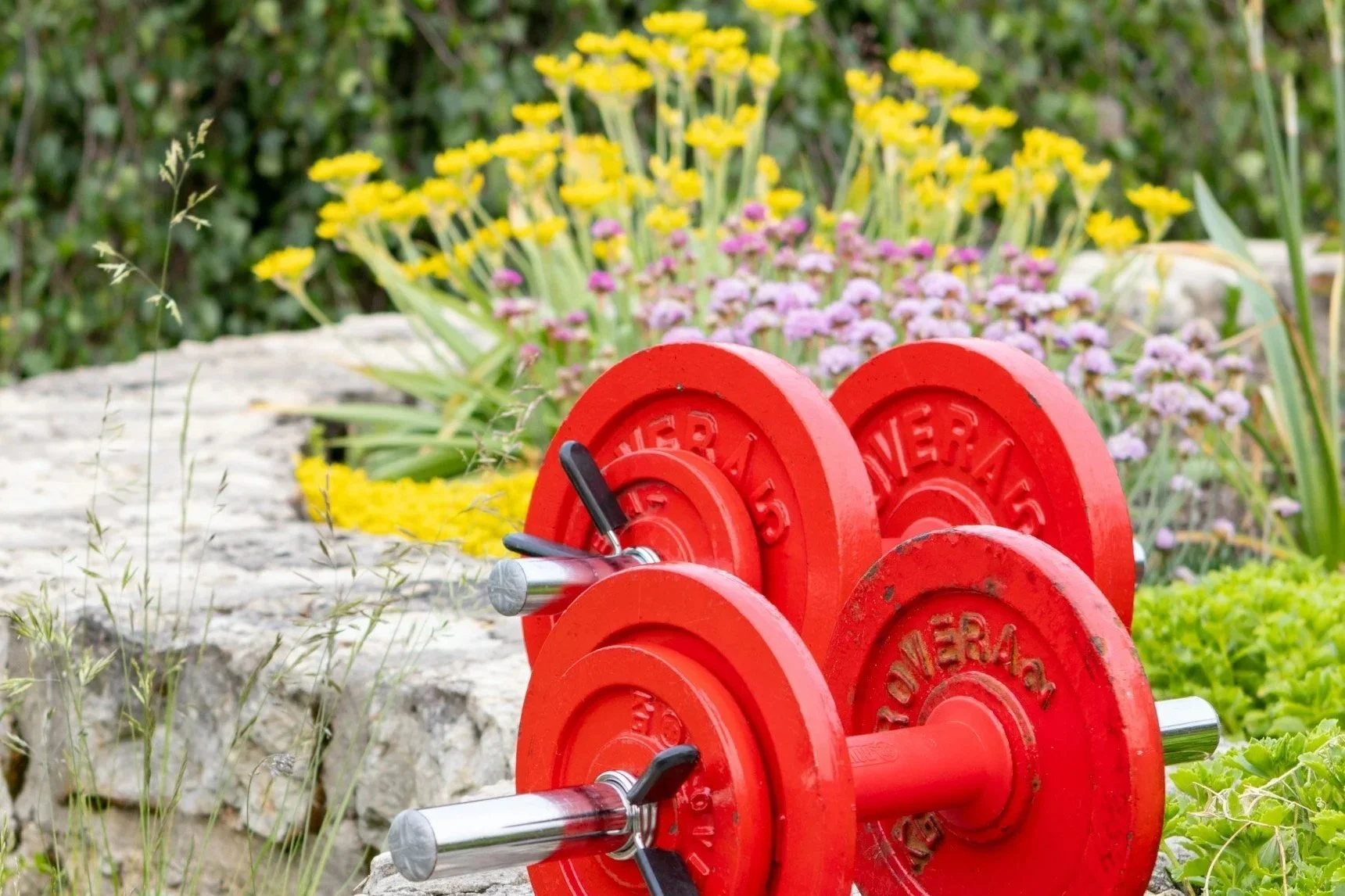 Spring Into Strength: Why March Is the Perfect Time to Reset Your Workout Routine