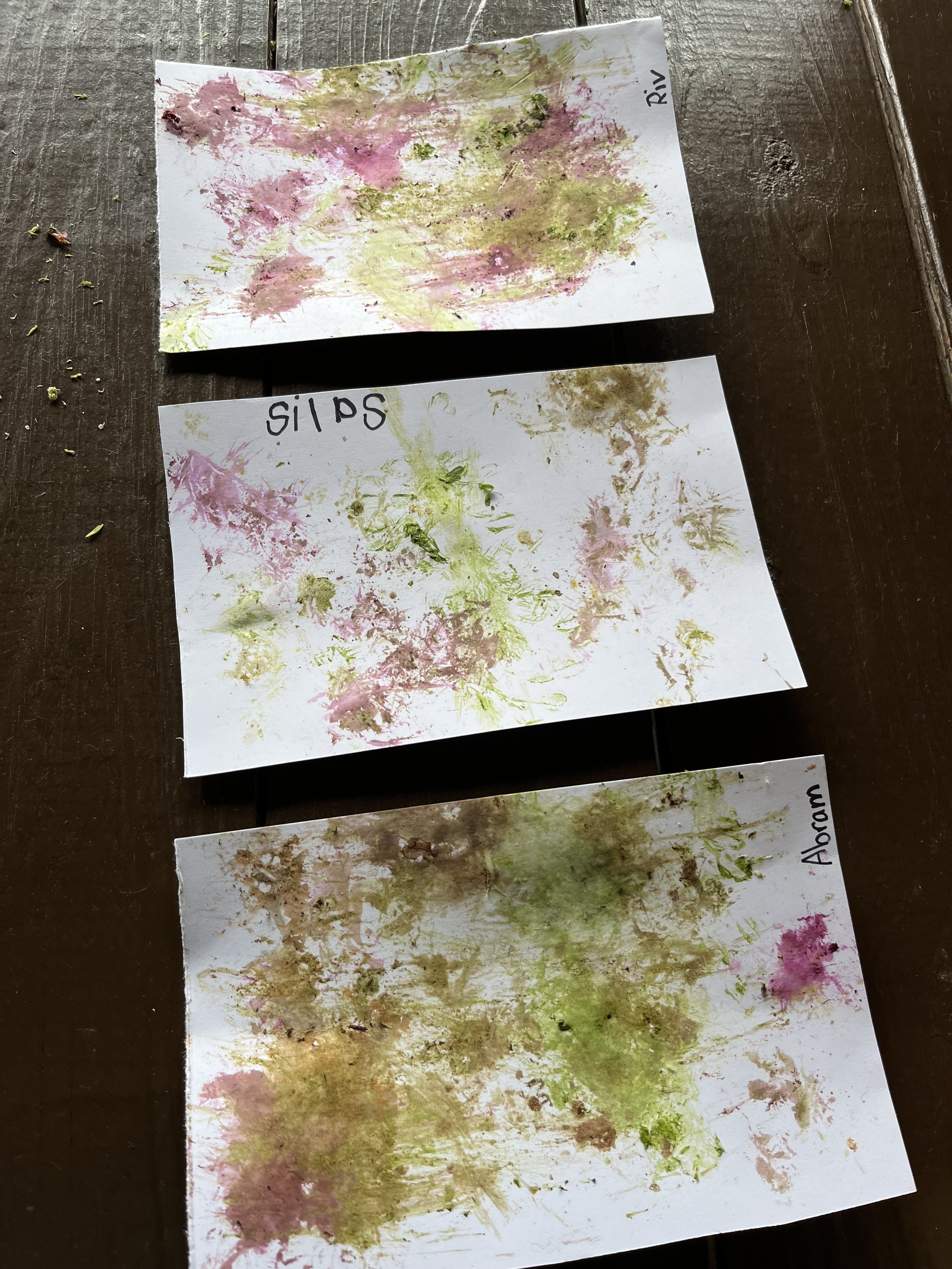 Finished botanical prints