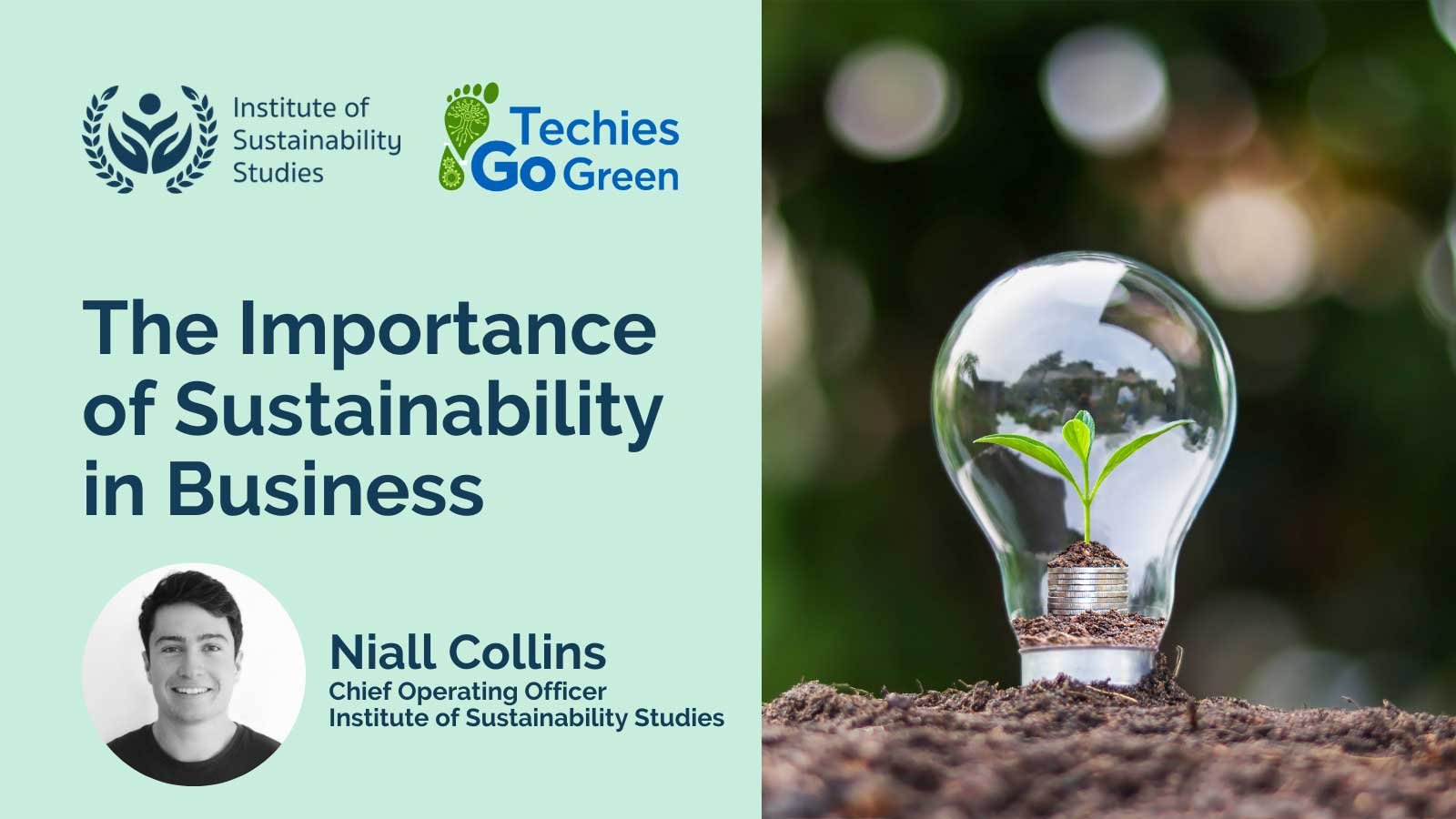 The Importance of Sustainability in Business | Niall Collins — Techies ...