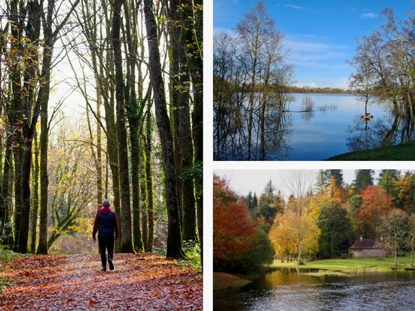 Techies Tour Farnham House Estate Nature Walk with Maurice Ryan Director Green Belt