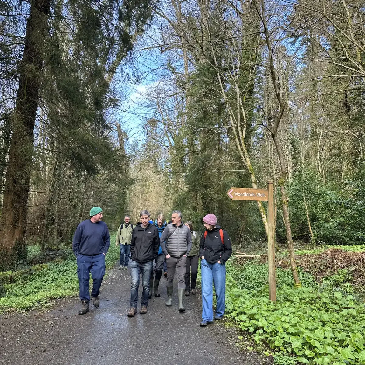 Farnham Estate 1.webp