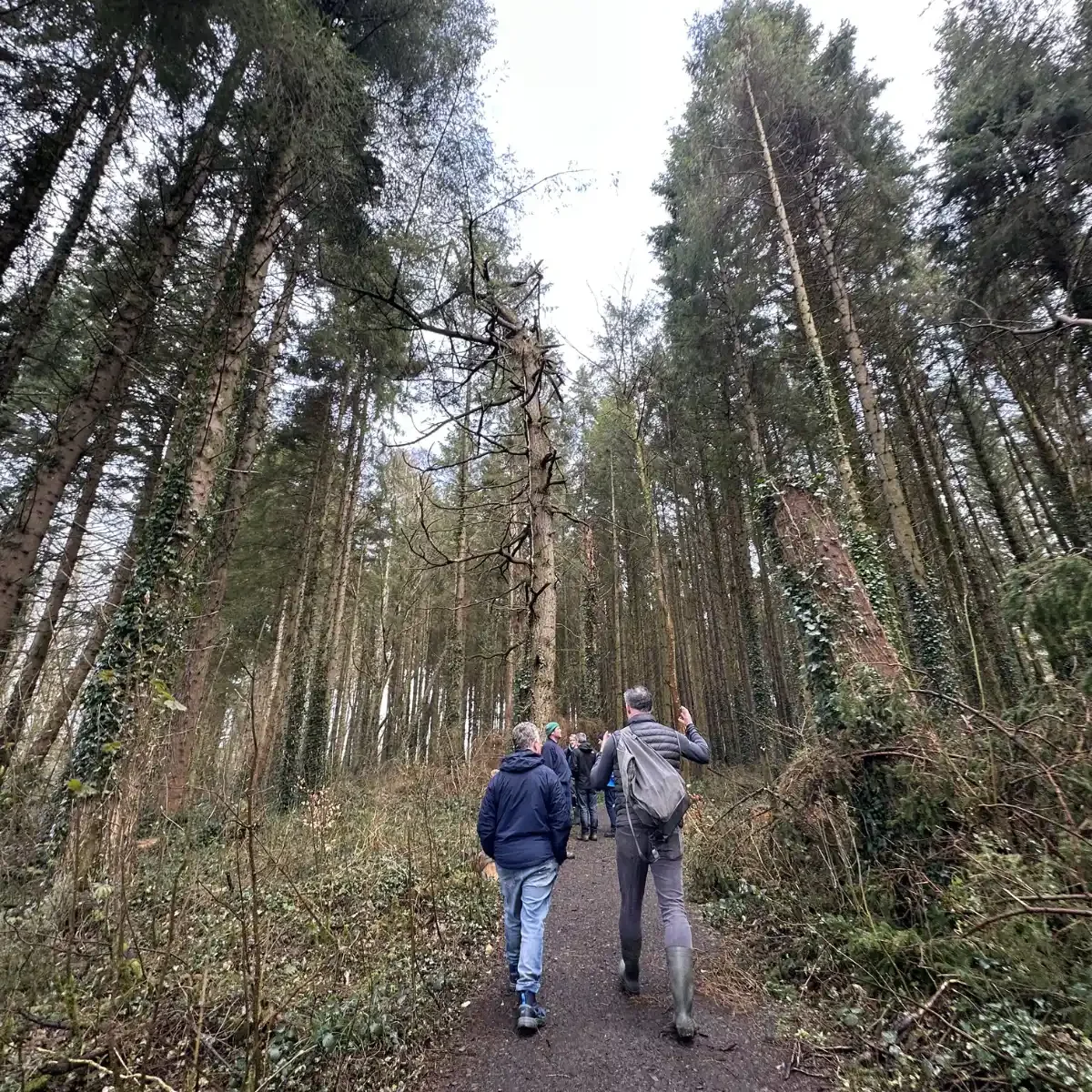 Farnham Estate 3.webp