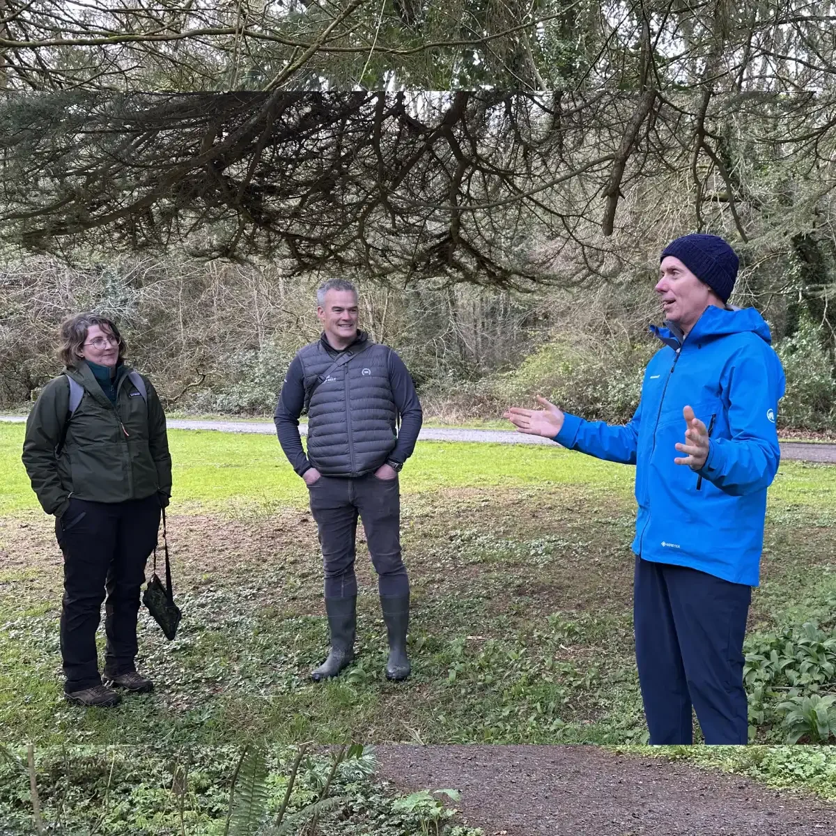 Farnham Estate 5.webp