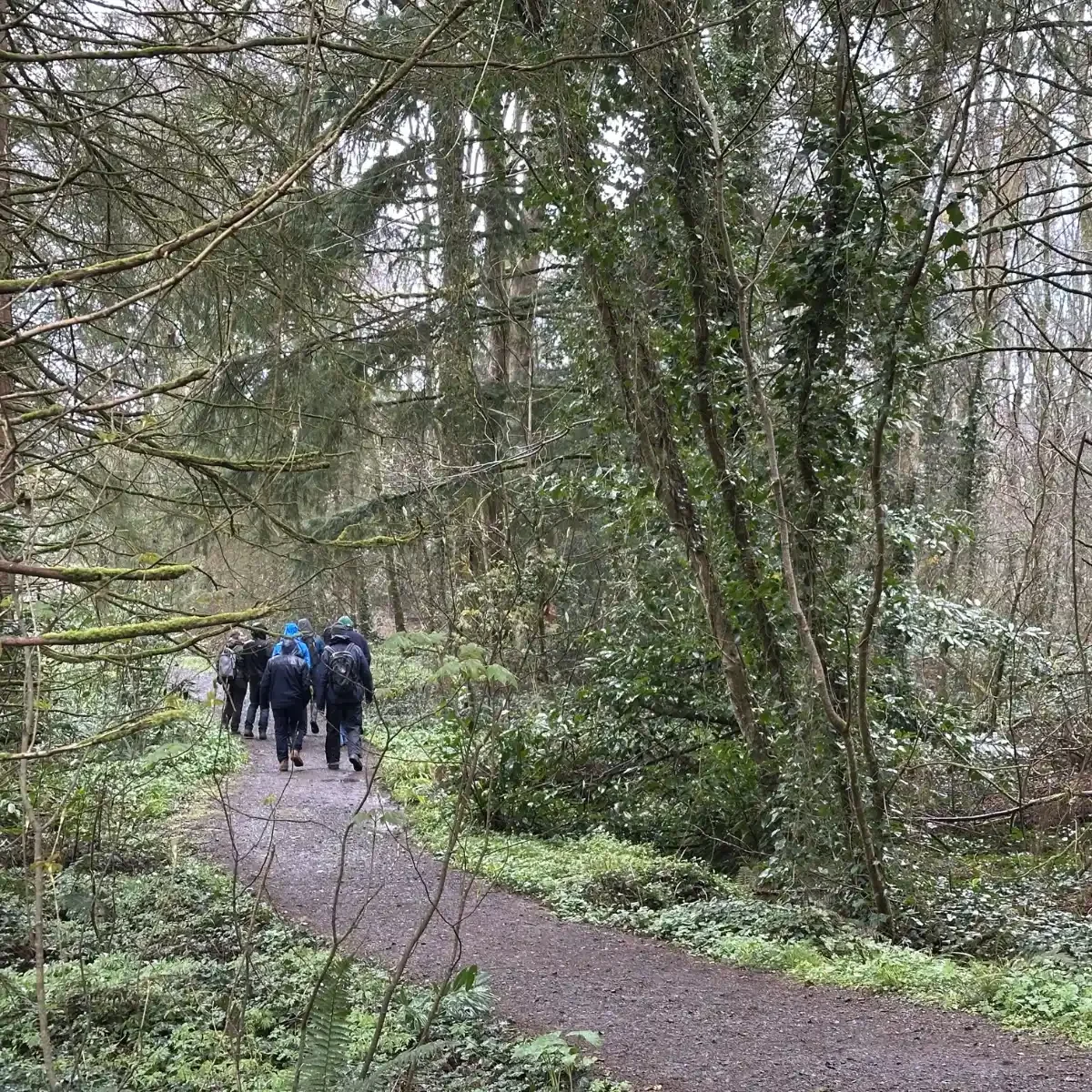 Farnham Estate 7.webp