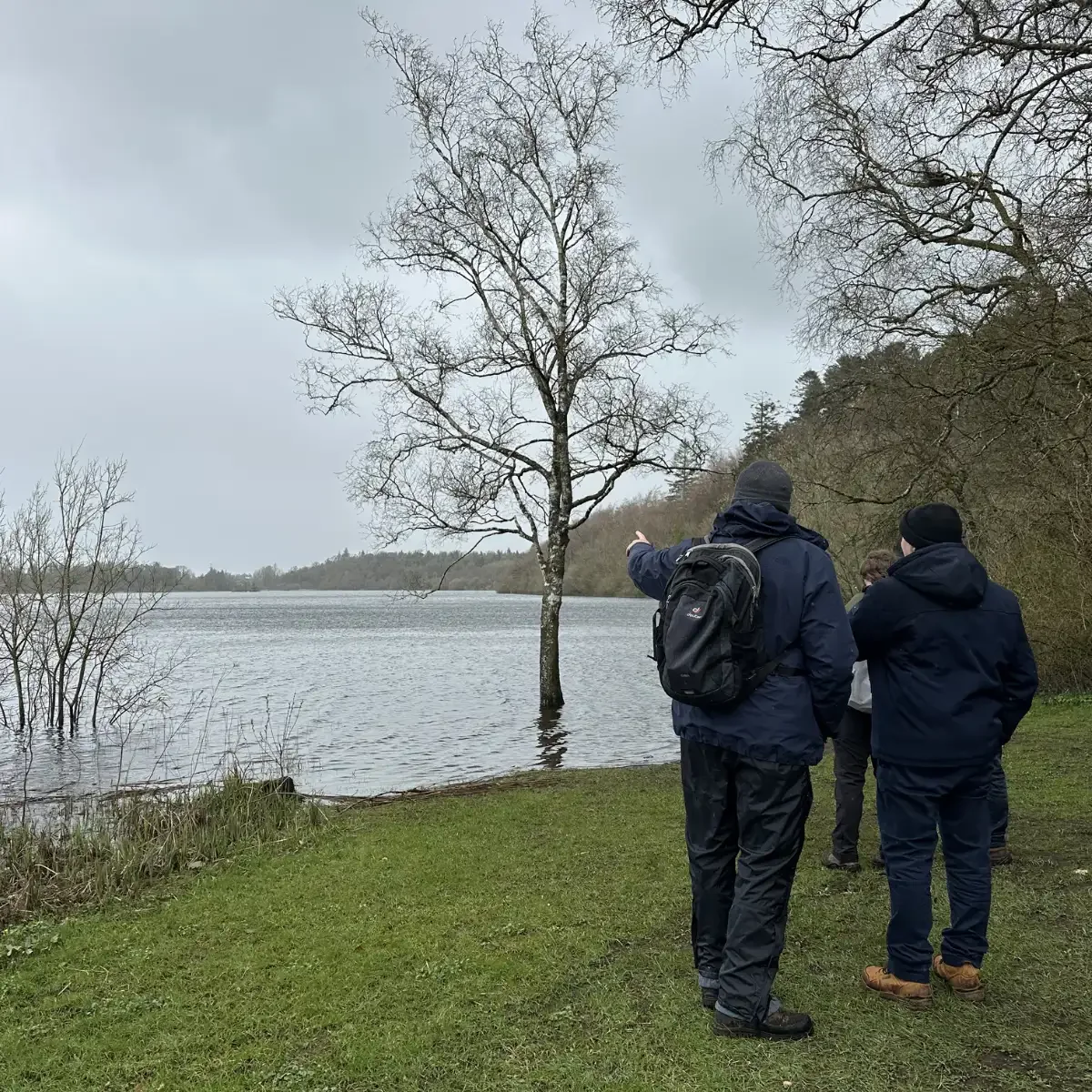 Farnham Estate 11.webp