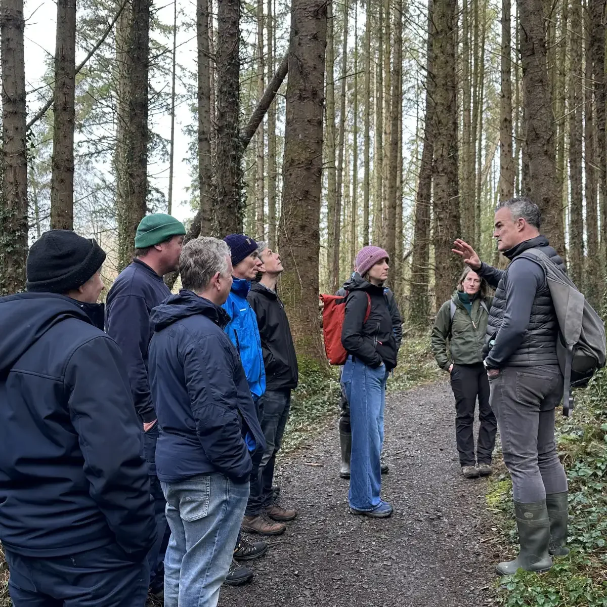 Farnham Estate 12.webp