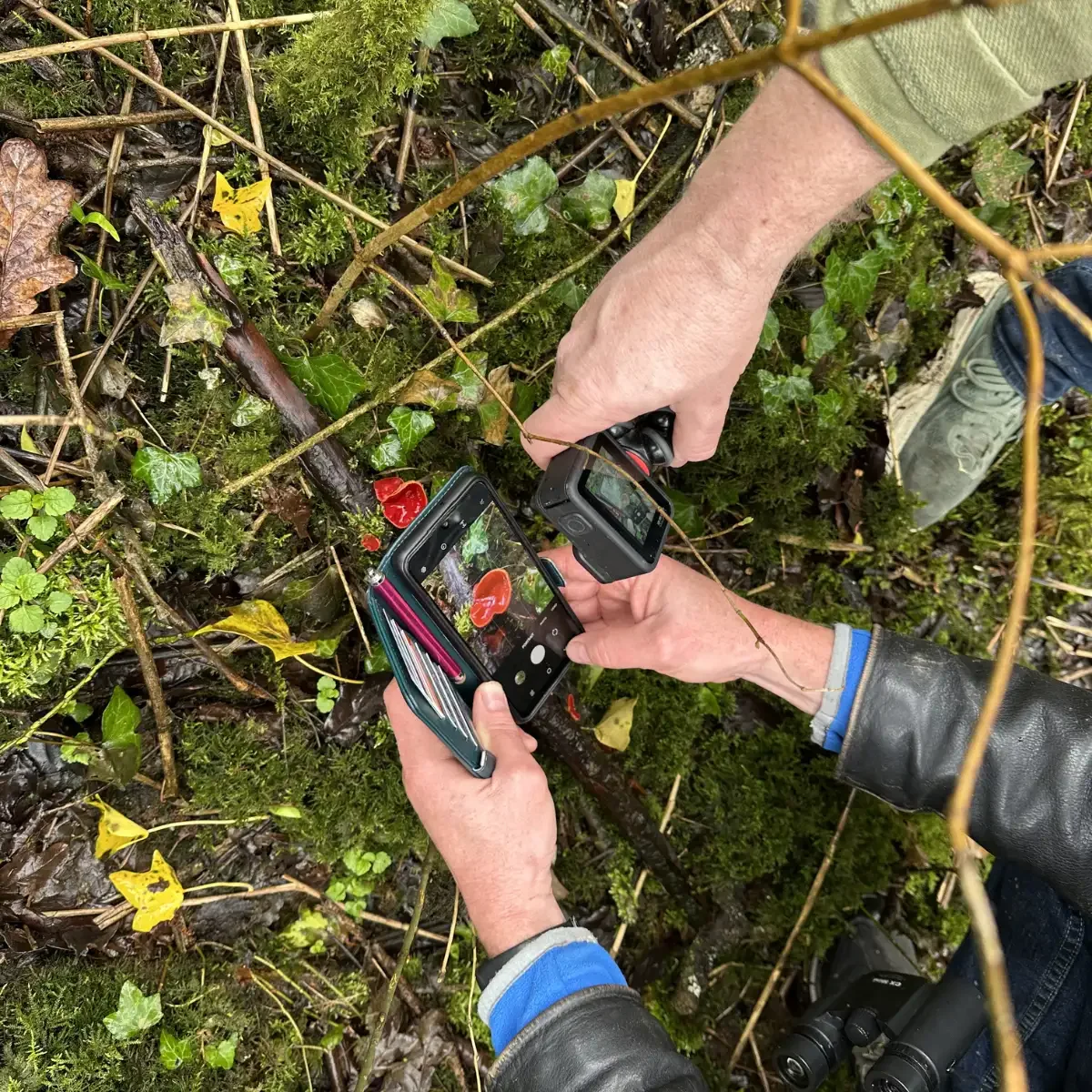 Farnham Estate 13.webp