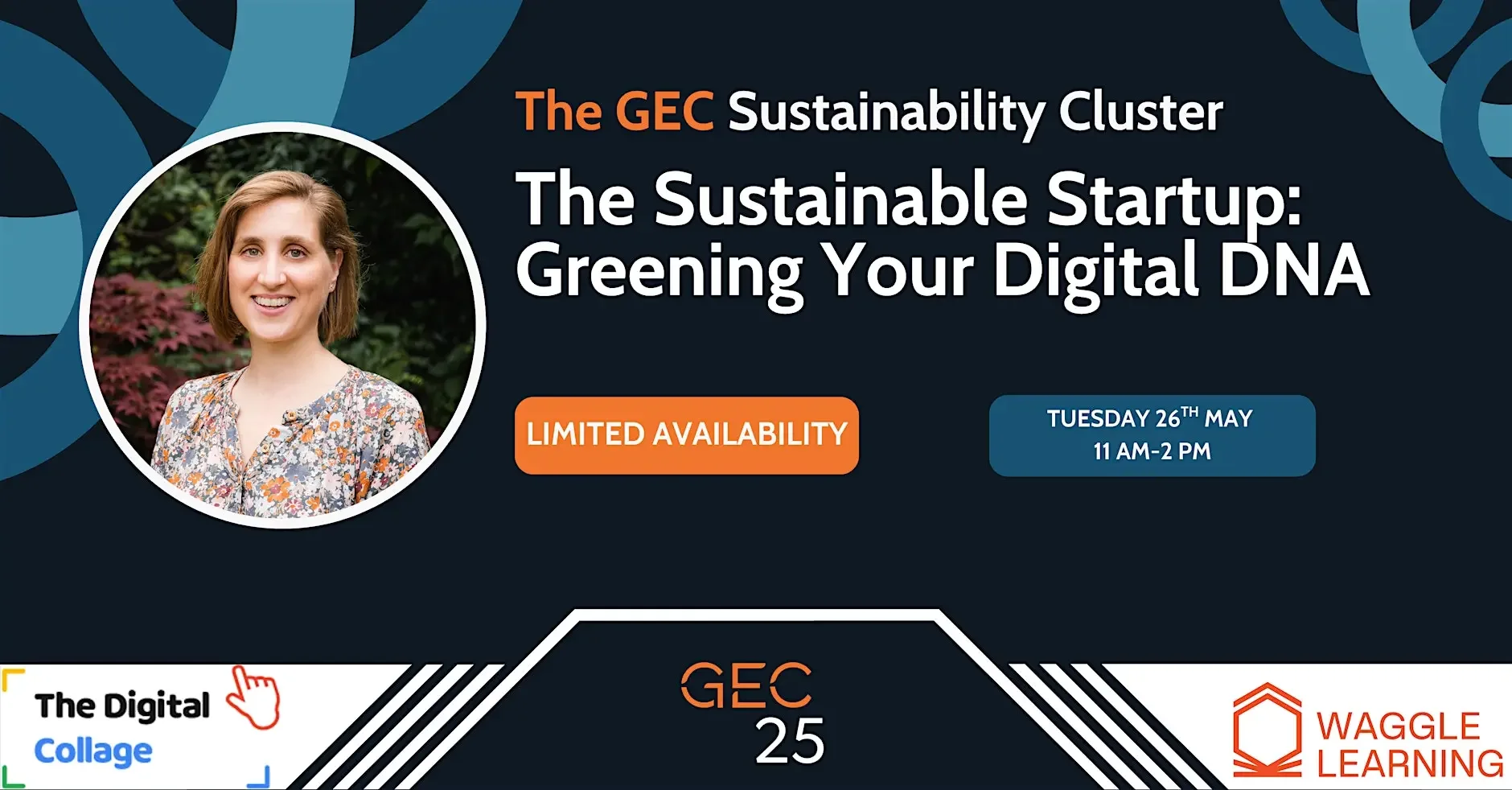 The Sustainable Startup: Greening Your Digital DNA