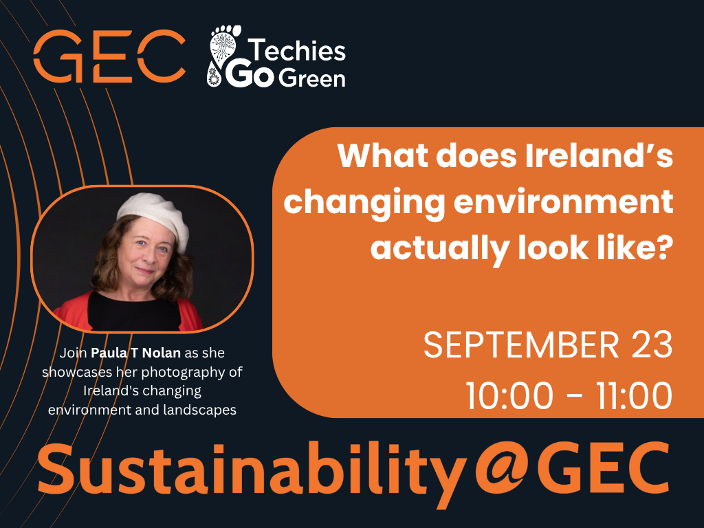 What does Ireland’s changing environment actually look like?