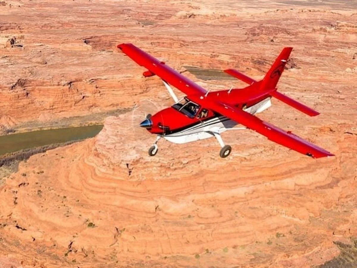 red-tail-air
