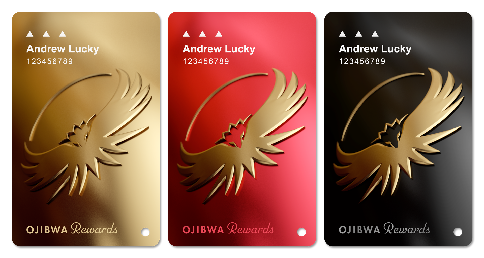 img_work_case-study_ojc_cards.png