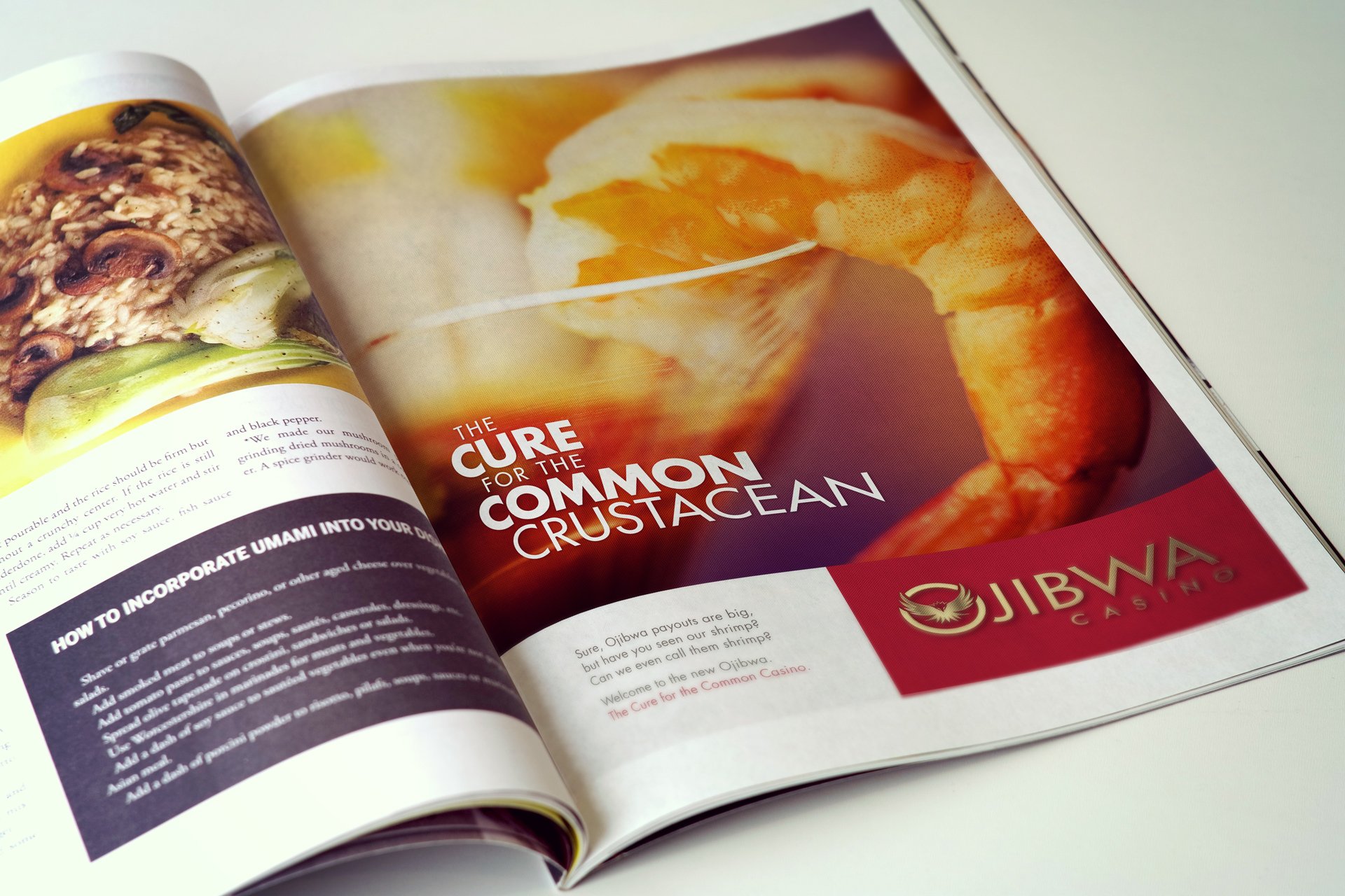 img_work_case-study_ojc_ad_1.jpg