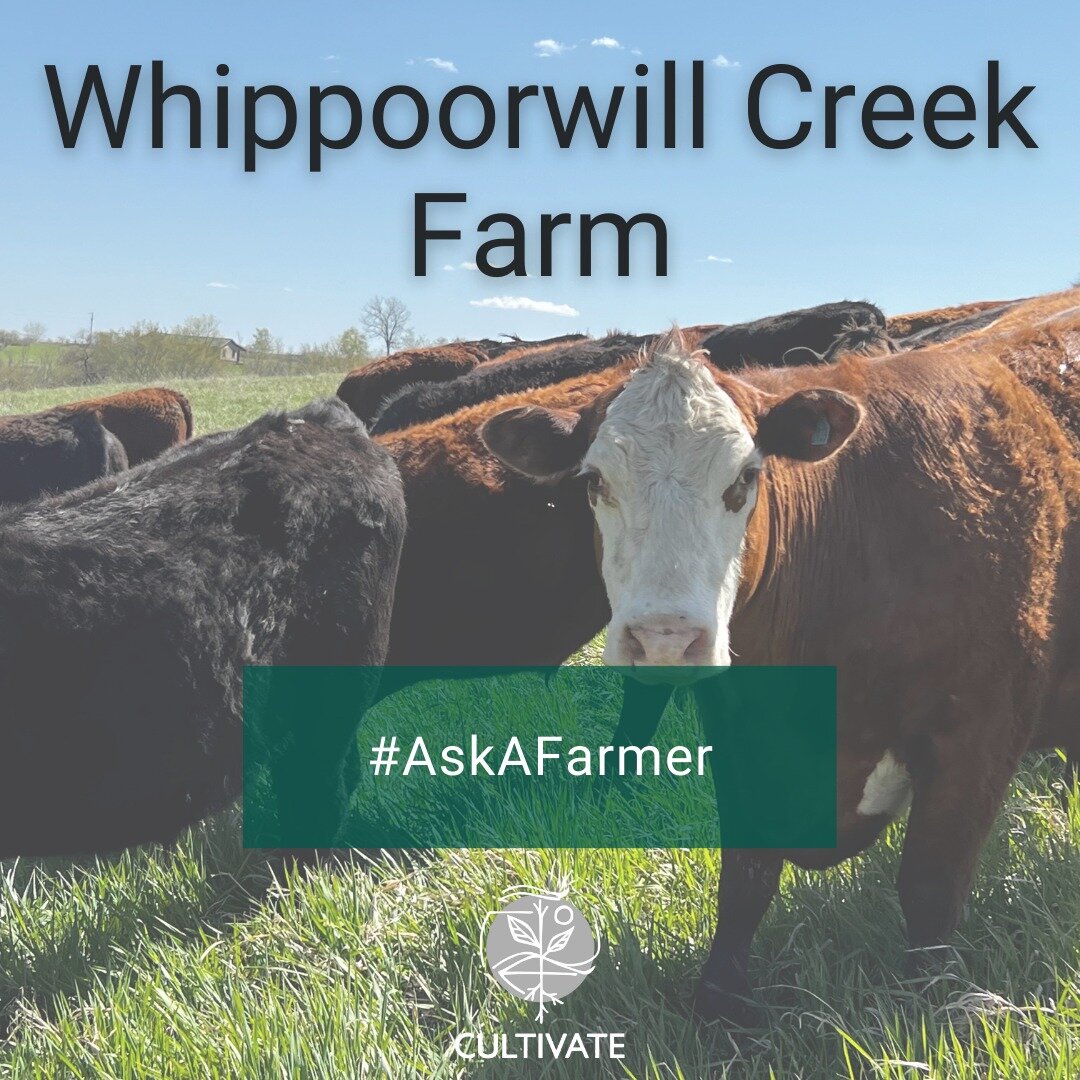 Meet @whippoorwill_creek_farm for today's #askafarmer! They raise goats and cattle as well as host farm stays, cooking classes, and writing classes. Beth Hoffman is also the author of Bet the Farm: The Dollars and Sense of Growing Food in America. 

