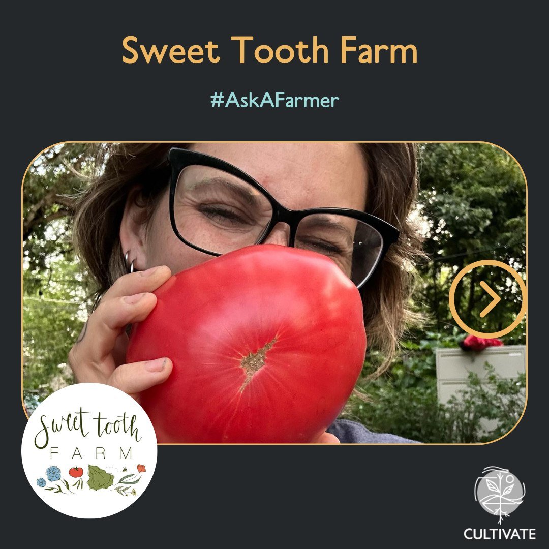 Meet Monika Owczarski and @sweettoothfarmdsm for this week's #askafarmer! 

sweettoothfarm.net

Share a detail about your growing practices and why it's important to you.

We are not certified organic, but we think it&rsquo;s critical that we grow in