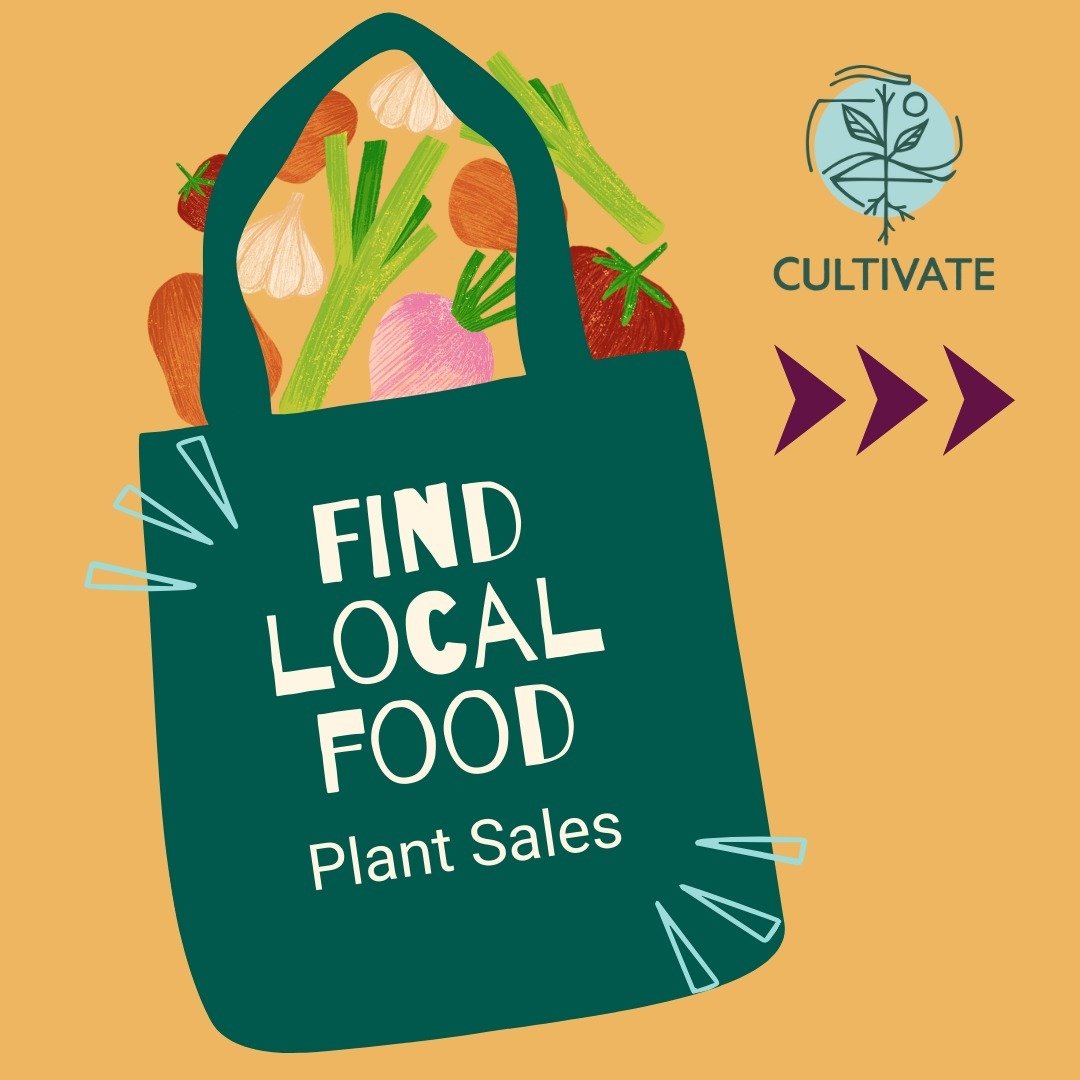 Whether you are a seasoned gardener or just starting, there are so many great plant sales coming soon in the Des Moines area! At these plant sales, you can find a variety of vegetables, perennials, annuals, and natives. Which one will you be checking