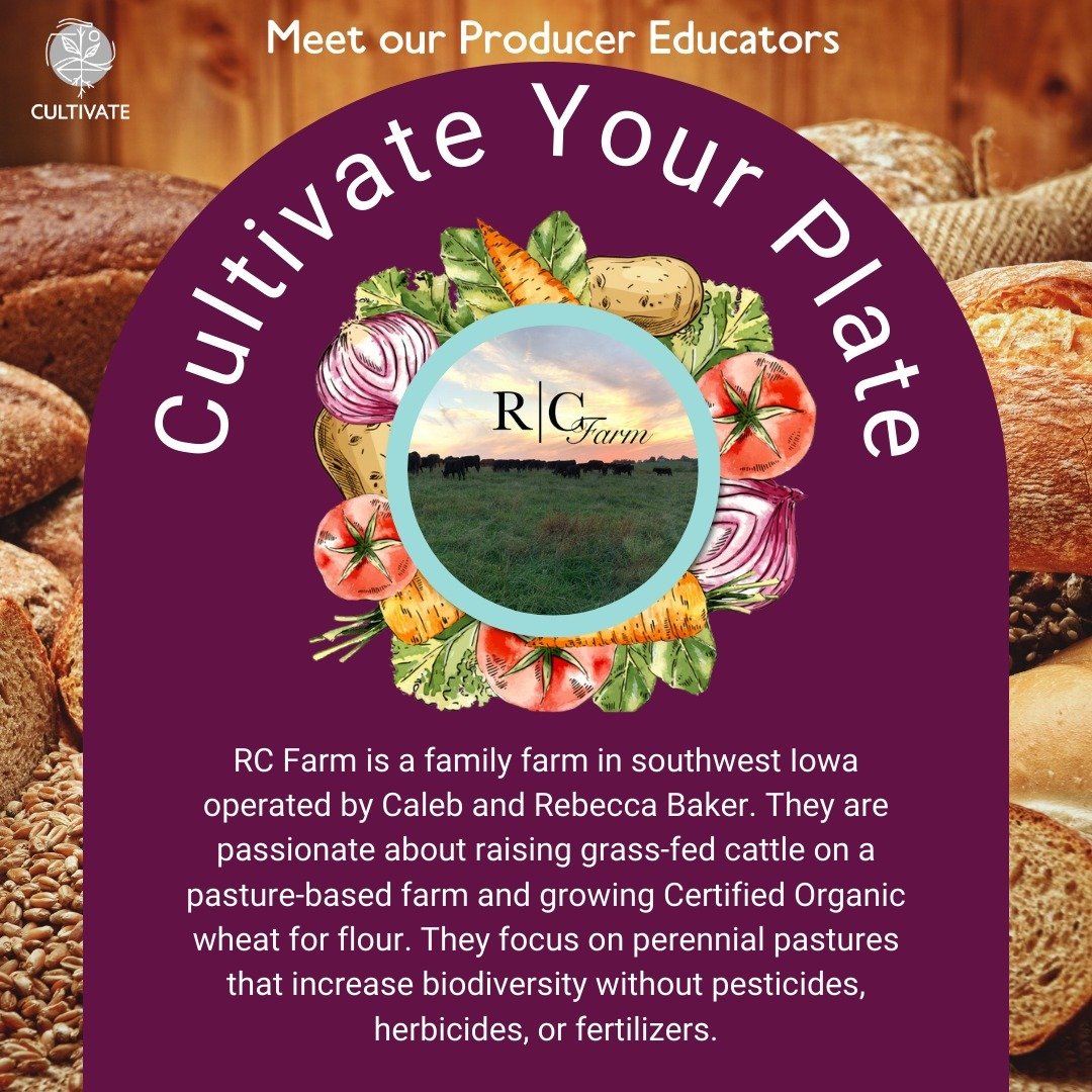 Our next #CultivateYourPlate is focused on locally grown grains, millers and bread baking. We are excited to host this event at the Franklin Ave Library! (This event is now full but there are 4 spots left on the waitlist so still sign up through the 