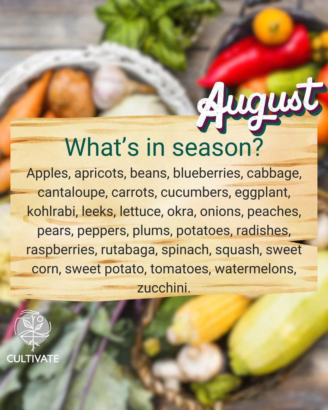 It's the height of produce season 🍎🍆🌽🥕 Find apples, apricots, beans, blueberries, cabbage, cantaloupe, carrots, cucumbers, eggplant, kohlrabi, leeks, lettuce, okra, onions, peaches, pears, peppers, plums, potatoes, radishes, raspberries, rutabaga