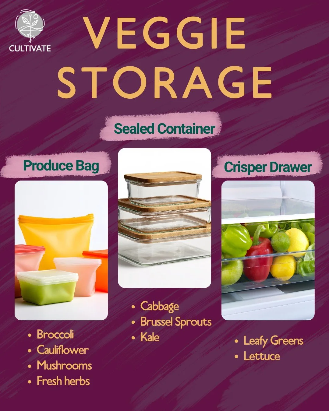 Finding lots of local food this summer? 🥦🥬🍄 Here are the best ways to store your produce to keep it as fresh as possible:

💧 Broccoli, cauliflower, mushrooms, and fresh herbs should be stored in an airtight produce bag in the fridge
💧 Cabbage, b