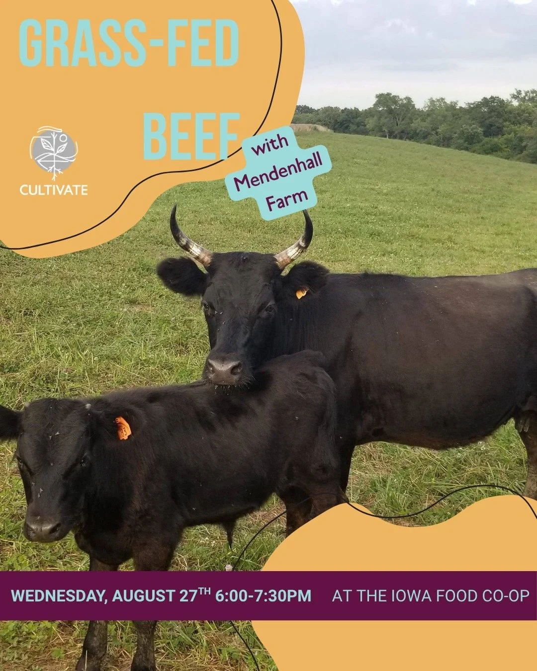One week left to register! 🐮

Join our final summer Cultivate Your Plate event all about grass-fed beef with @Mendenhall Farm. They will answer all your questions about the practices used to produce quality grass-fed and finished beef as well as cov