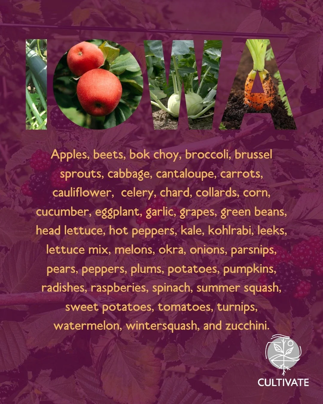 September is a big month for local food availability 🍎🥦🧅 Find apples, beets, bok choy, broccoli, brussel sprouts, cabbage, cantaloupe, carrots, cauliflower, celery, chard, collards, corn, cucumber, eggplant, garlic, grapes, green beans, head lettu