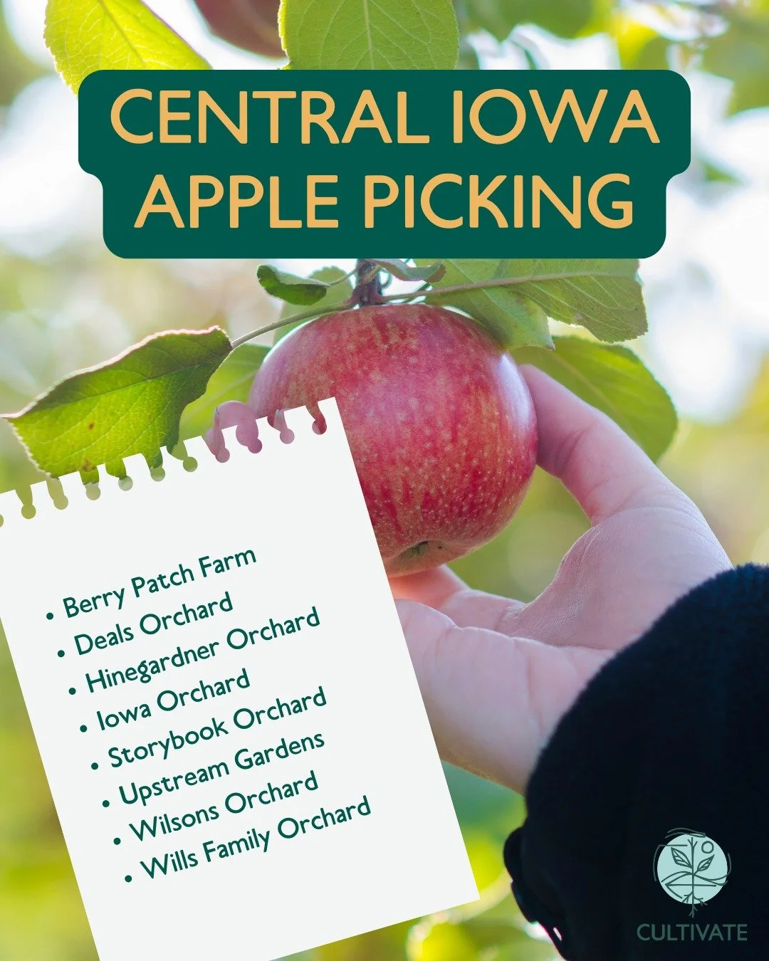 Apple picking is fun to do with family, friends, or even solo 🍎🍏 Central Iowa has several orchards where you can pick your own locally-grown apples to munch on or bake into a tasty treat! Check out these farms to see which one is near you 🍂

#cult