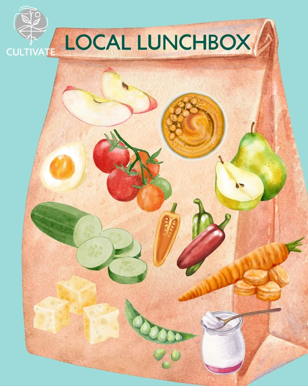 School is back in session and there are plenty of ways to incorporate local food into every lunchbox 😋 Next time you're shopping for lunchboxes, consider locally-grown fruits and vegetables like cucumbers, tomatoes, apples, or pears, cheese, yogurt,