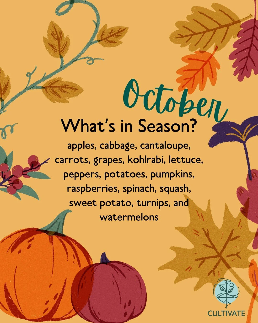 It may not feel like fall yet, but October has arrived 🥕🧅 This month you can find apples, beets, broccoli, brussel sprouts, cabbage, cantaloupe, carrots, cauliflower, celery, chard, collards, eggplant, figs, head lettuce, kale, kohlrabi, leeks, let