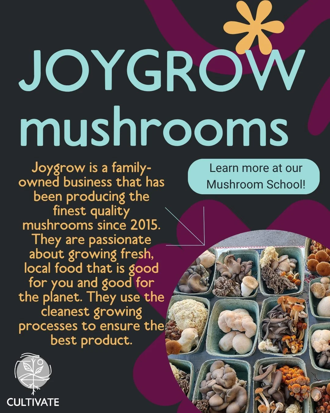 Meet our next Farmer Educator, @joygrow! They pride themselves on using the cleanest practices to grow gourmet mushrooms and mushroom growing kits 🍄 They are located in Cambridge, Iowa where they have been &quot;Sharing joy growing healthy food to g