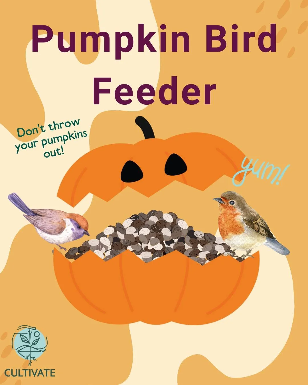 Happy Halloween! If you have pumpkins out now, think twice about throwing them away 🎃 Instead, they can be filled with bird seed to make a bird feeder! There are many ways to dispose of your pumpkins sustainably instead of throwing them away. Also c