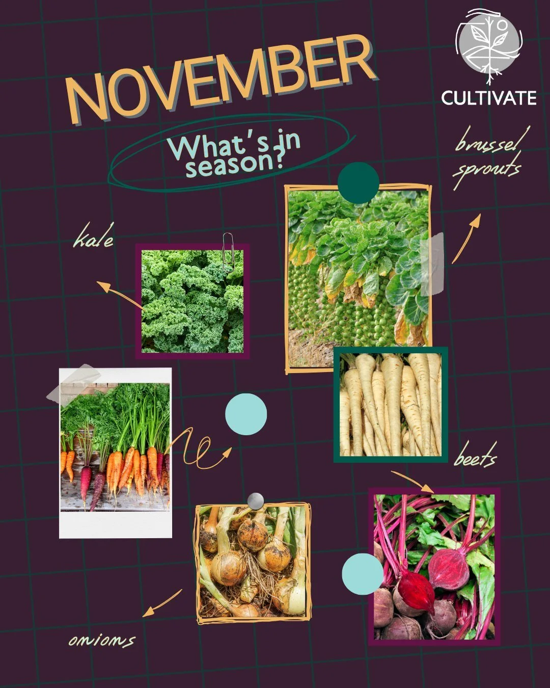 &quot;If you really want to make a friend, go to someone's house and eat with him... the people who give you their food give you their heart.&quot; &mdash; Cesar Chavez

Find beets, brussels sprouts, carrots, kale, leeks, lettuce mix, potatoes, onion