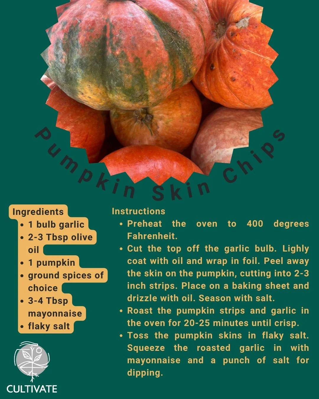 Still got some pumpkins lying around? Try out this recipe for Pumpkin Skin Chips to reduce food waste and try a new treat! 🎃

#cultivatefoodconnections #whatsinseasonnovember #reducefoodwaste #iowalocalfood