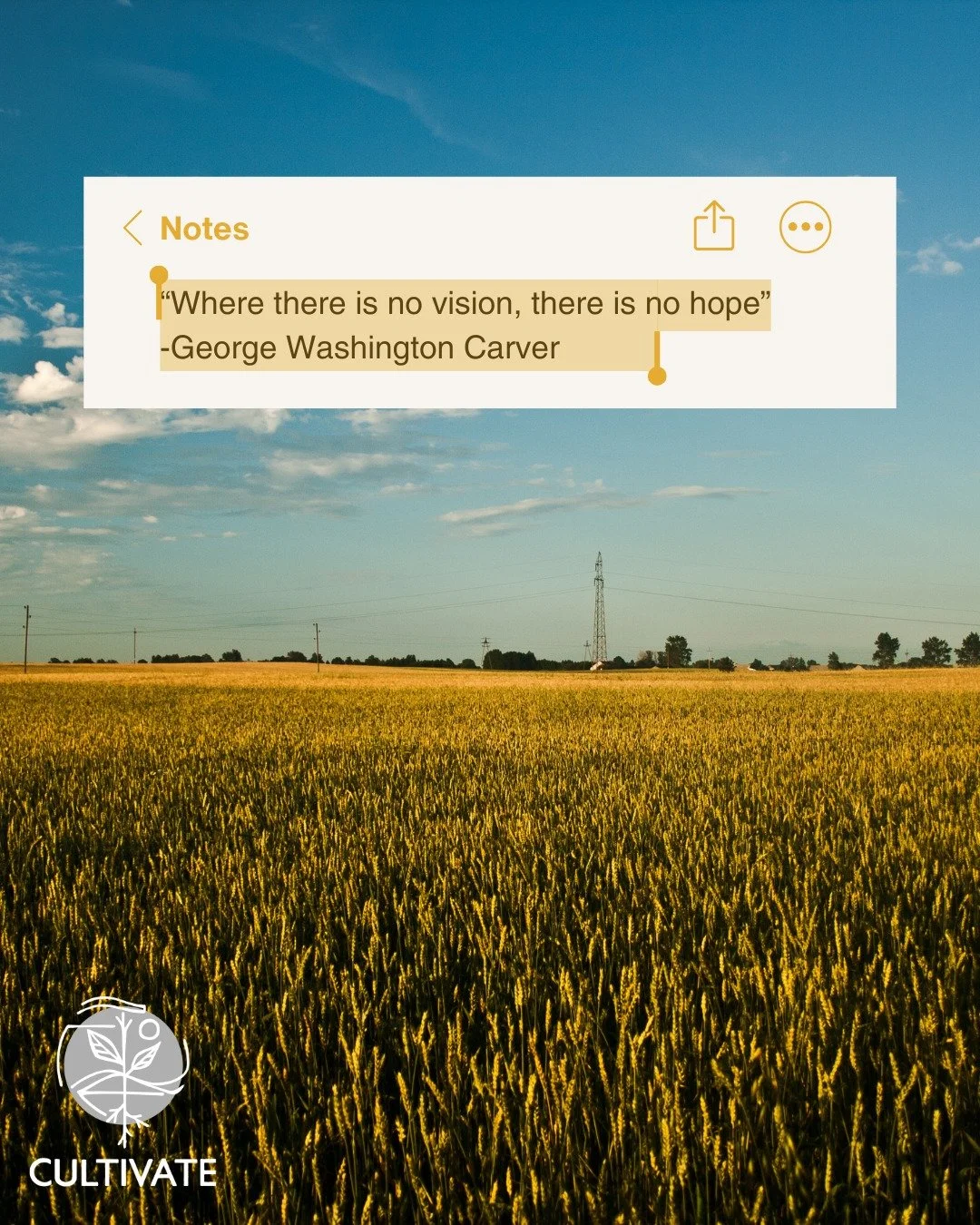 At Cultivate, our vision is to see local, regeneratively grown food on every table. Every time we see a sign-up for one of our classes, a donation to our Farm to Table for ALL fund, a purchase from a local producer, or a story about learning how food