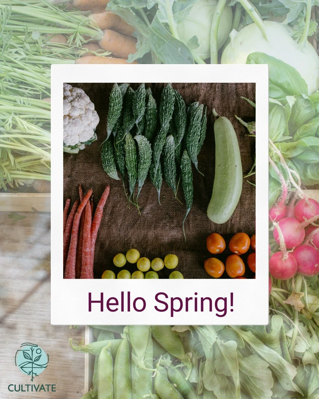 Happy first day of spring 🌷🌱☀ We are enjoying the emerging season and all it has to offer through cold-weather crops, greenhouse-grown produce, dairy, and eggs. 

Visit our website to find local food near you, explore seasonal recipes, and learn ab