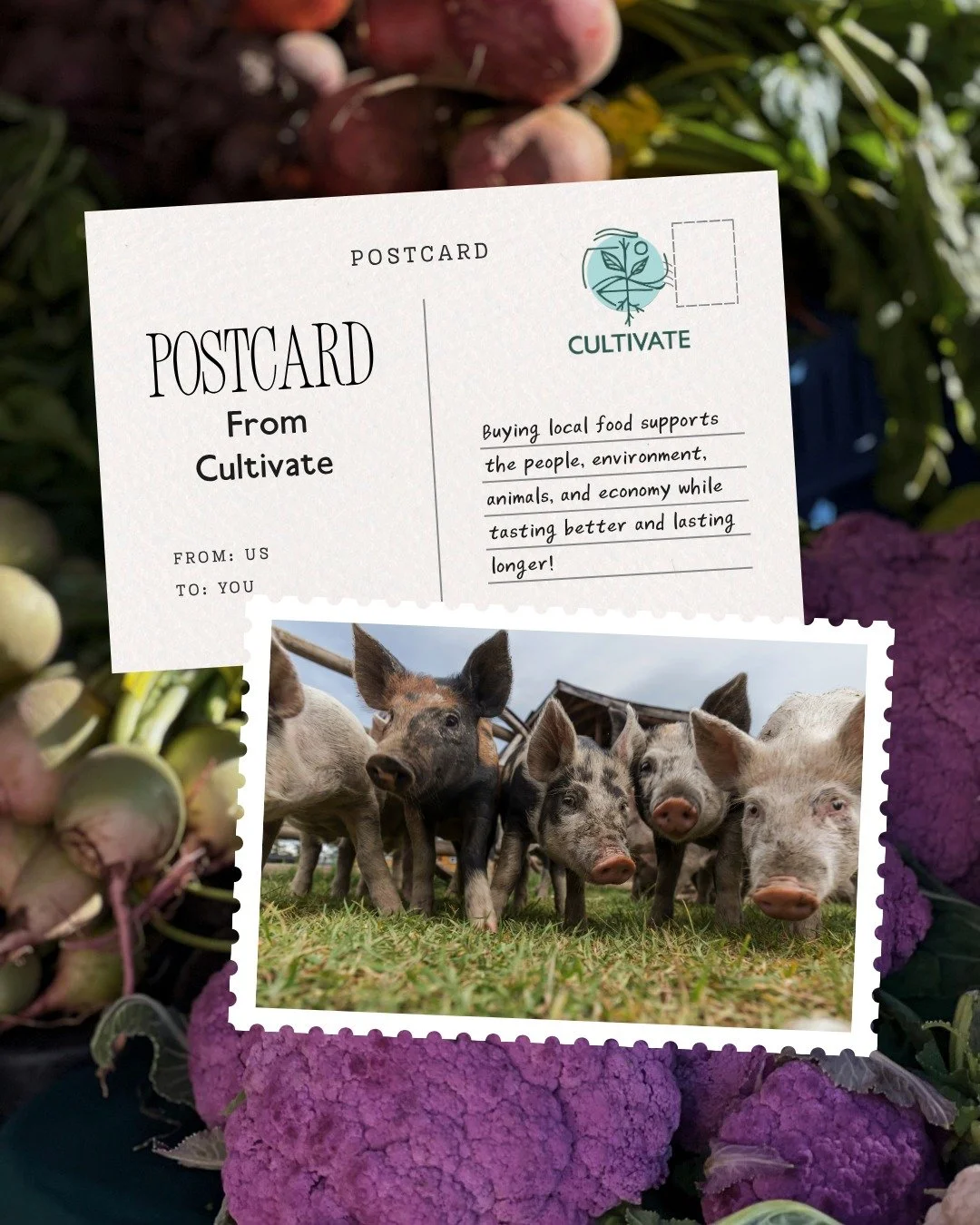 As we head into the spring and summer seasons, remember that there are so many benefits to buying local food beyond the great taste! This one switch has long-lasting impacts on the community, environment, and your health 🍅🍏🍉 Consider swapping your