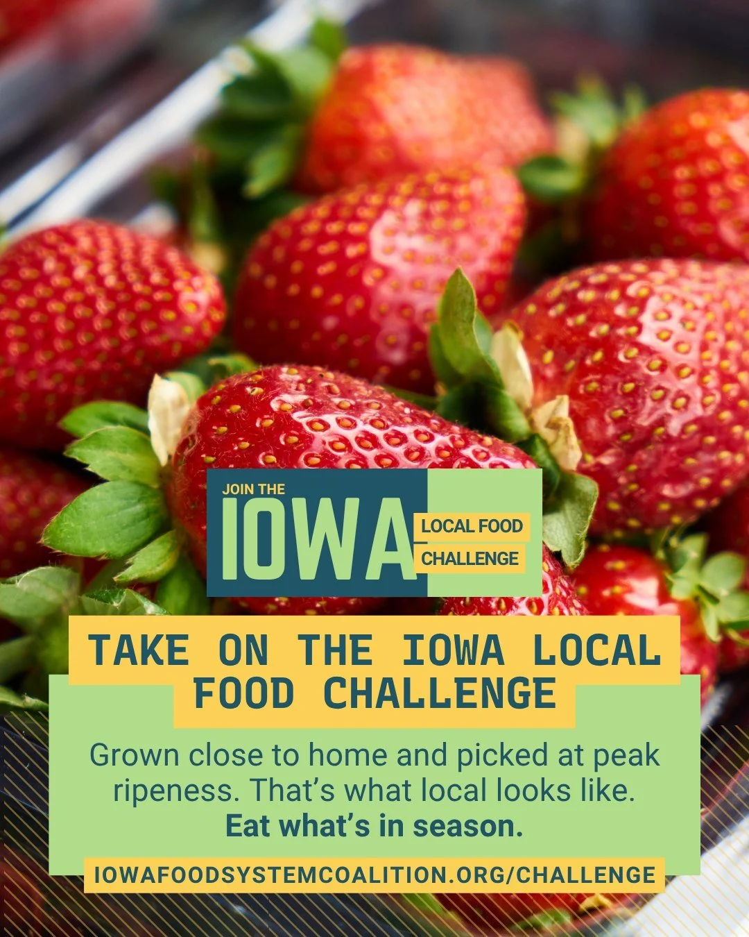 Food grown close to home simply tastes better 🍓

From fresh-picked produce to locally raised meat and dairy, Iowa-grown food offers quality and flavor you can experience. The Iowa Local Food Challenge is a chance to enjoy that freshness while suppor