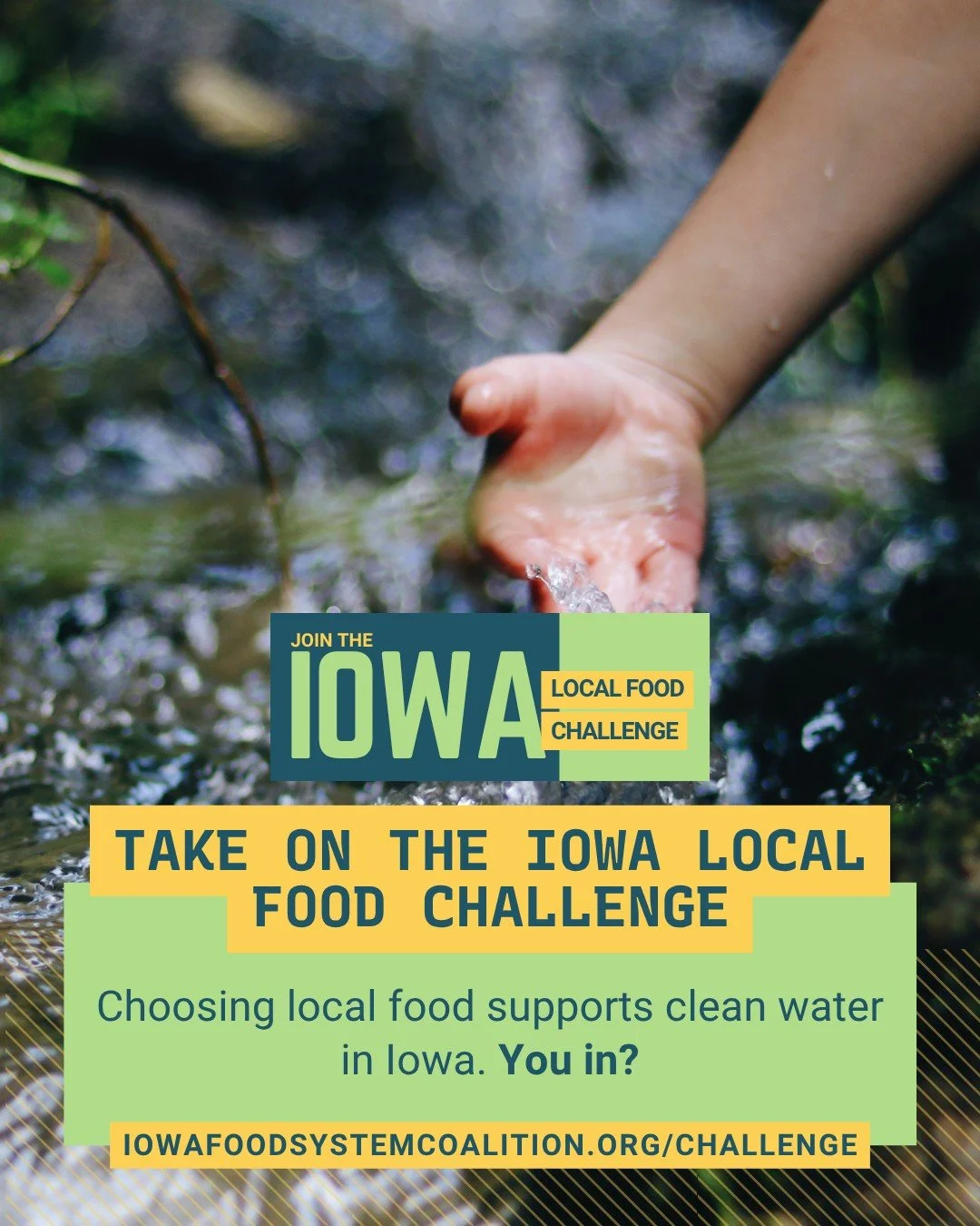 Supporting local food can support farming practices that benefit soil health and water quality across Iowa. Today is National Environment Day, which means it's the perfect time to make some choices that will make a positive impact on you and the envi