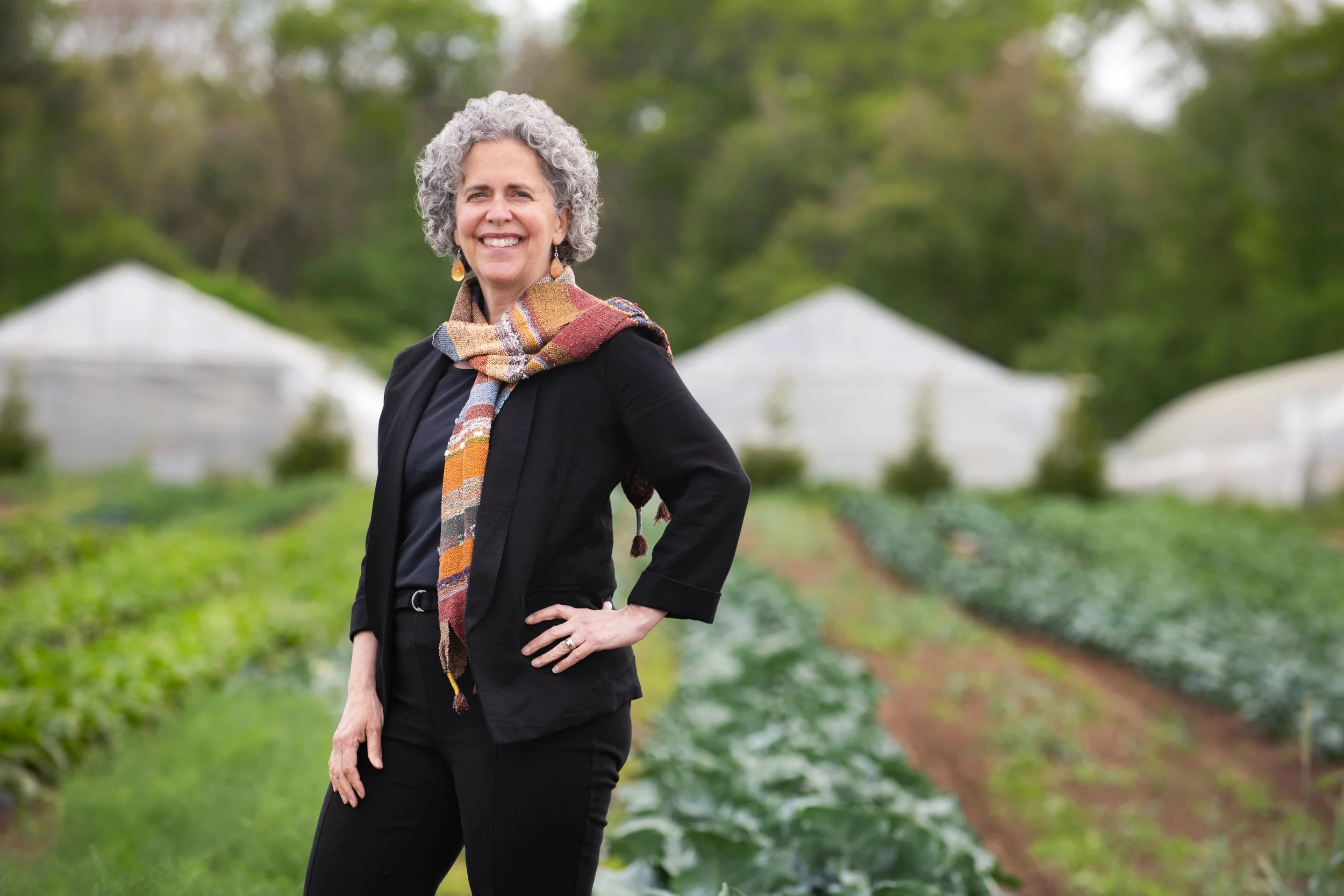 Food Systems Book Talk 