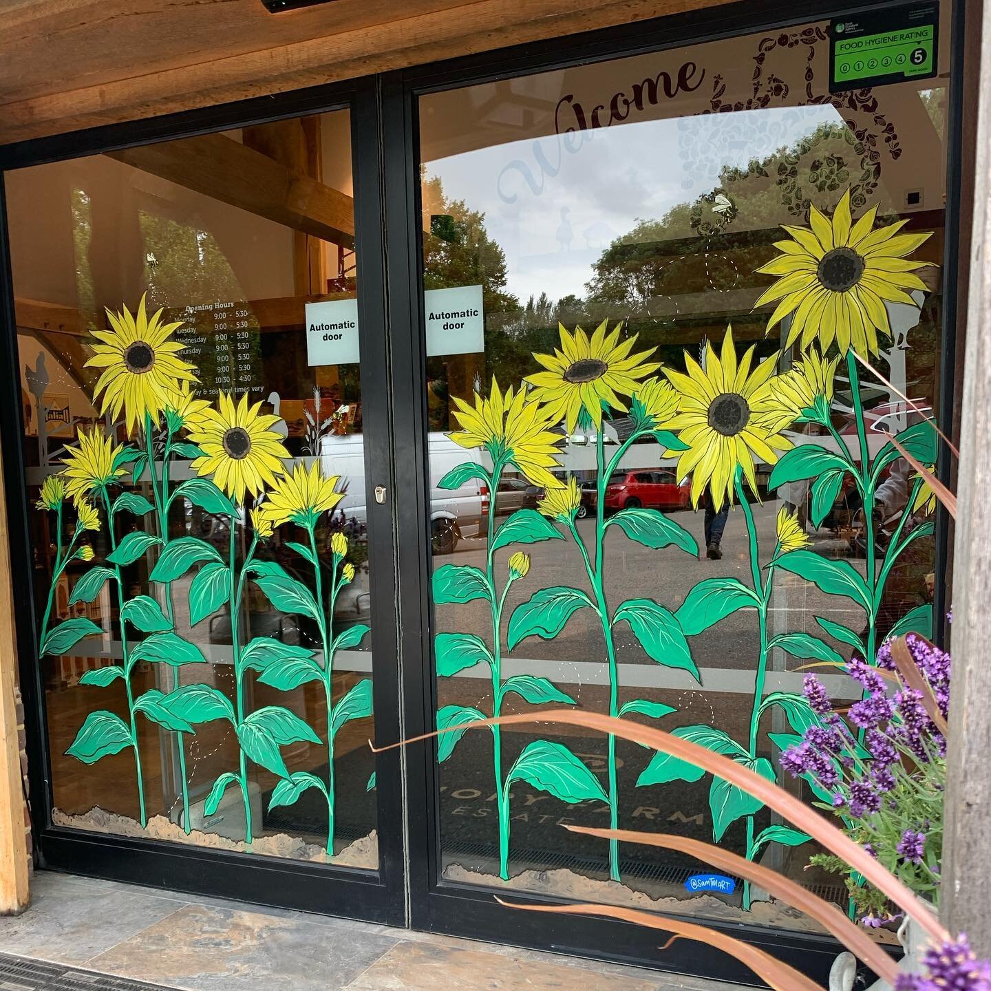 @prioryfarmestate 🌻💛 Summer is here at The Farm Shop!!! #windowart #artoftheday #windowartists #windowillustration #posca #artist #art #sunflower #flowerpower #joyful #sunshineonarainyday