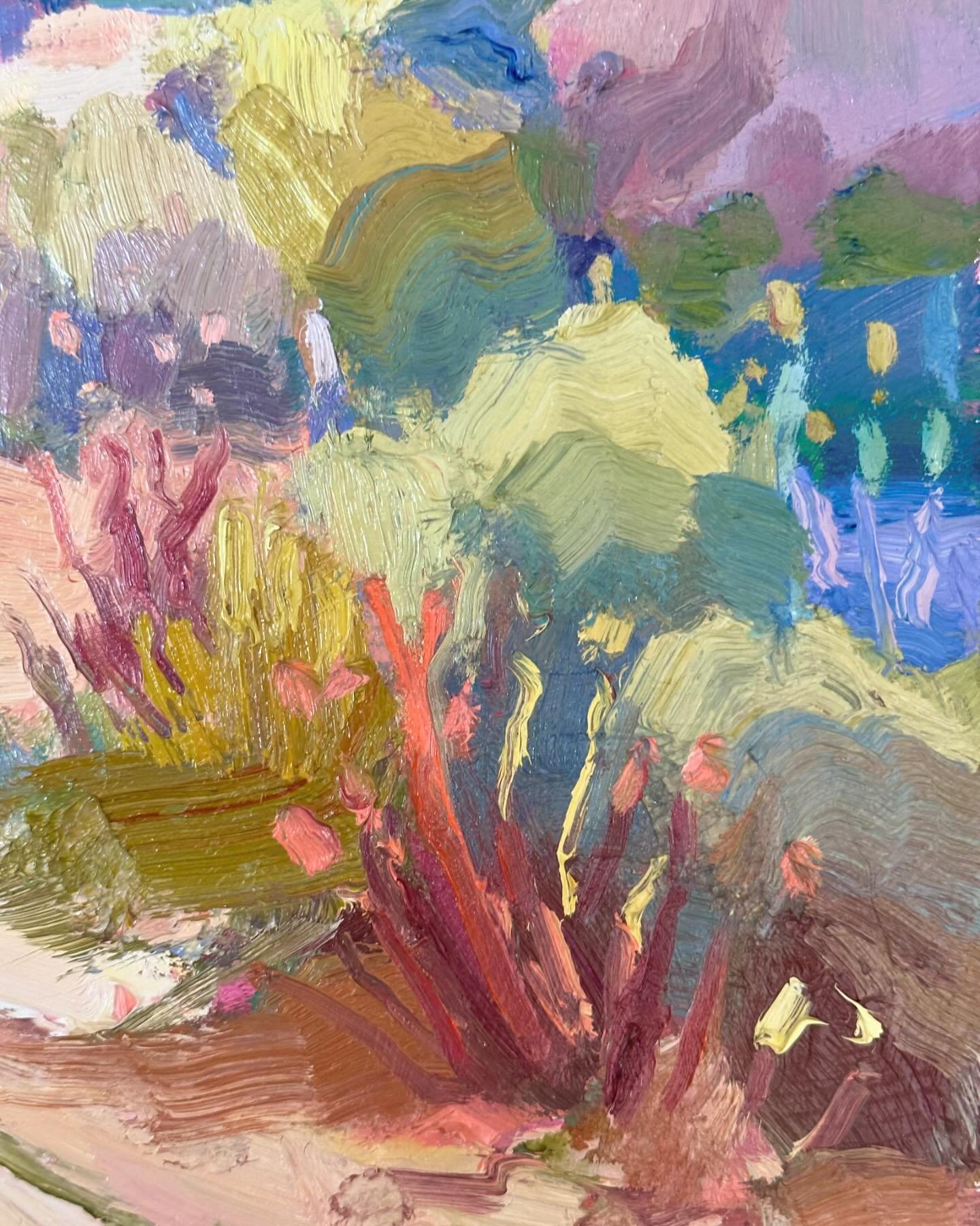 Another cheeky snippet of something no I&rsquo;m working on 🌈 🌵 

#details #desert #impasto #thickpaint #colourist #impressionism #contemporaryart