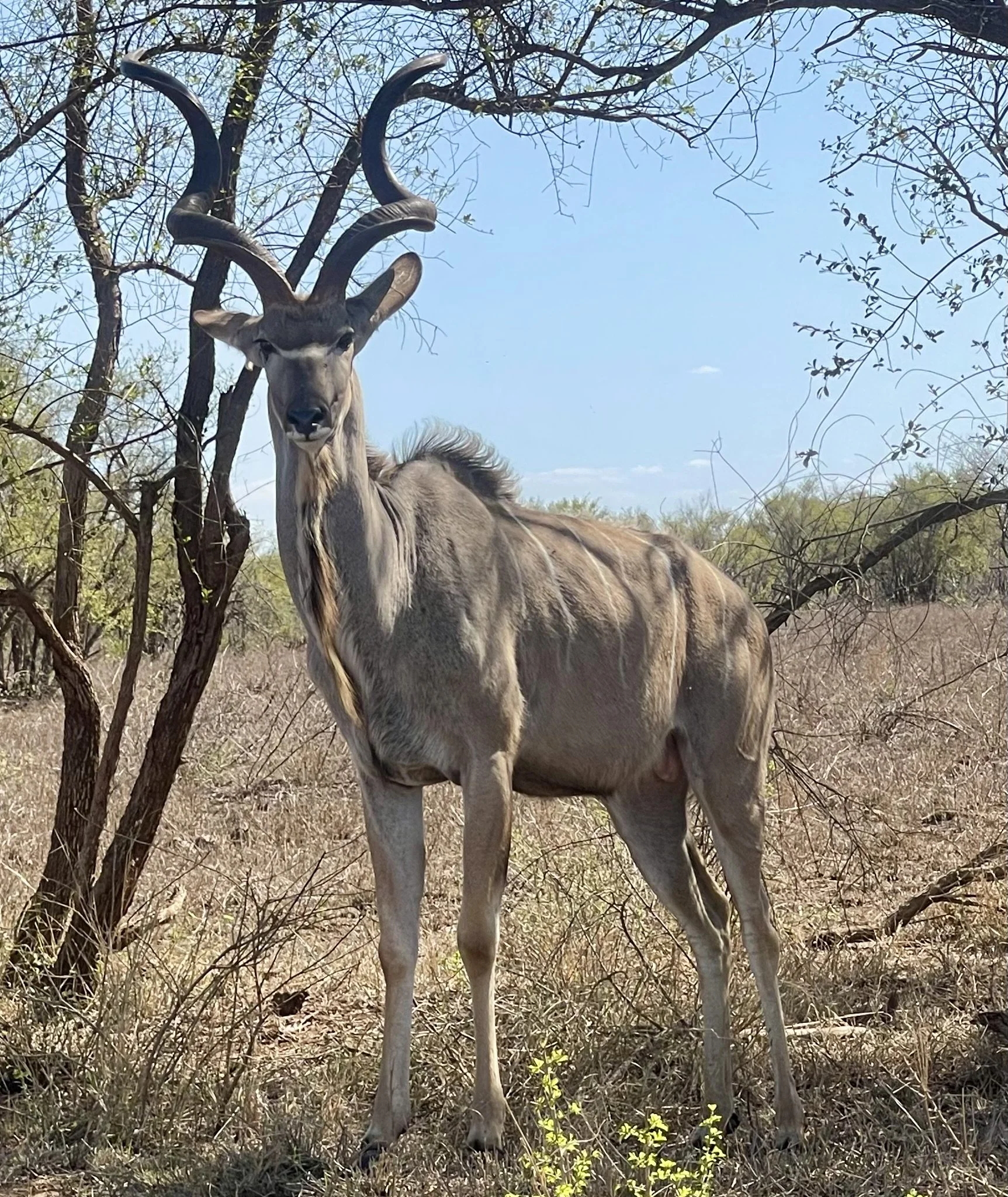 How do we self sabotage ourselves?