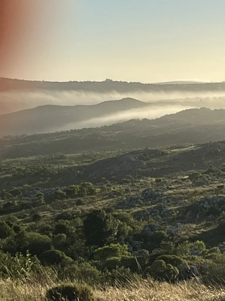 Scenic landscape with rolling hills, green vegetation, and distant mountains under a sky with a layer of clouds and sunlight.